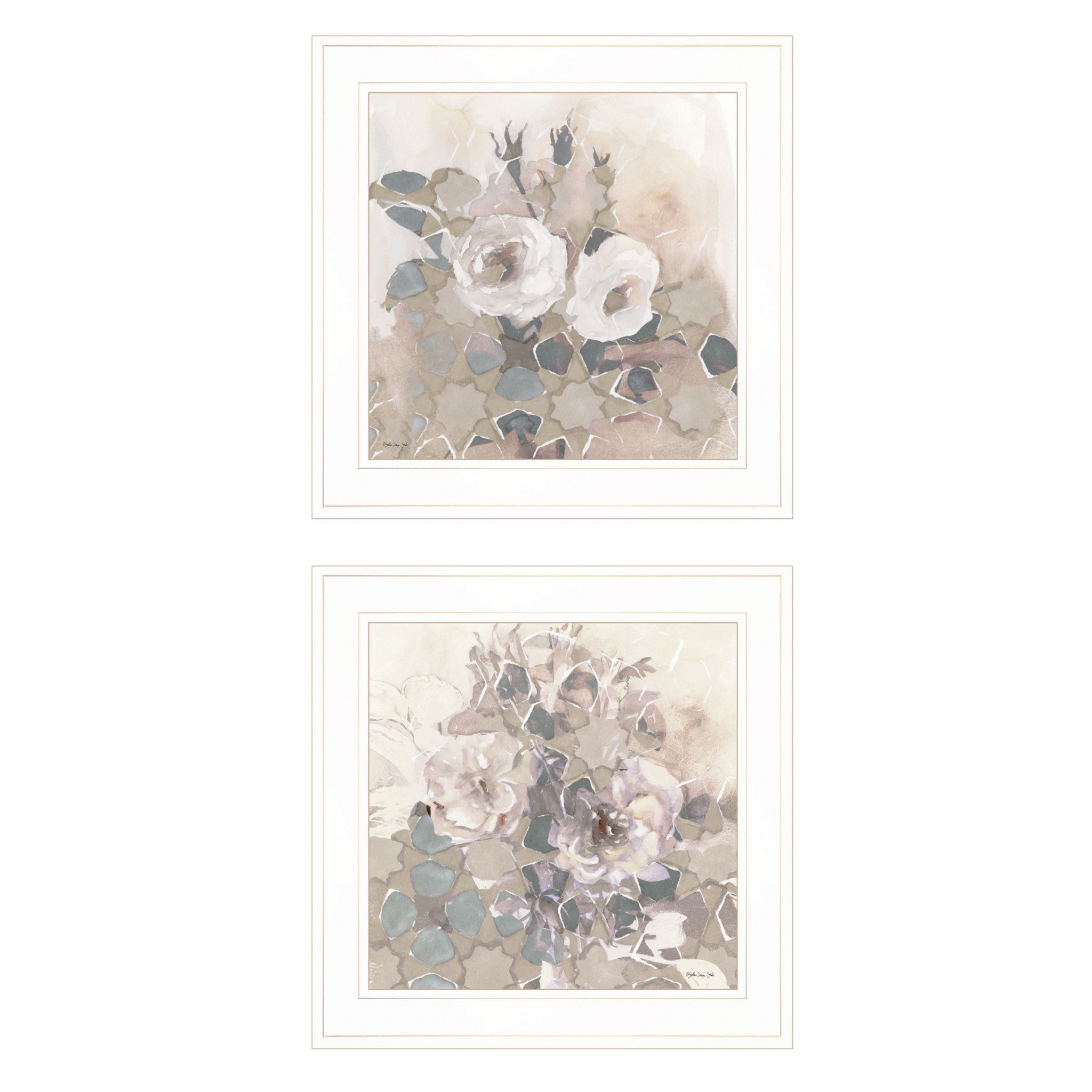 Set Of Two Transitional Blooms 1 White Framed Print Wall Art