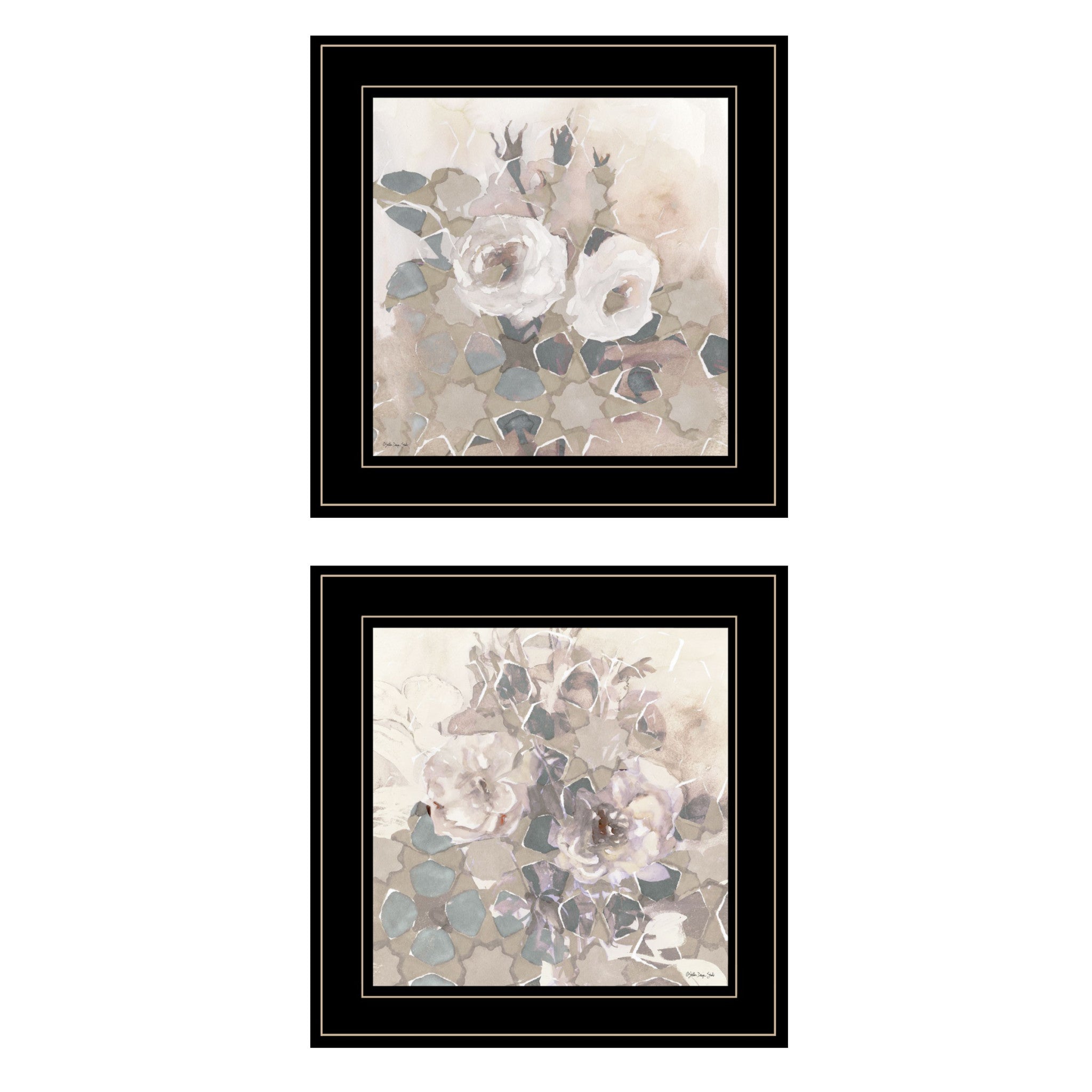 Set Of Two Transitional Blooms 2 Black Framed Print Wall Art