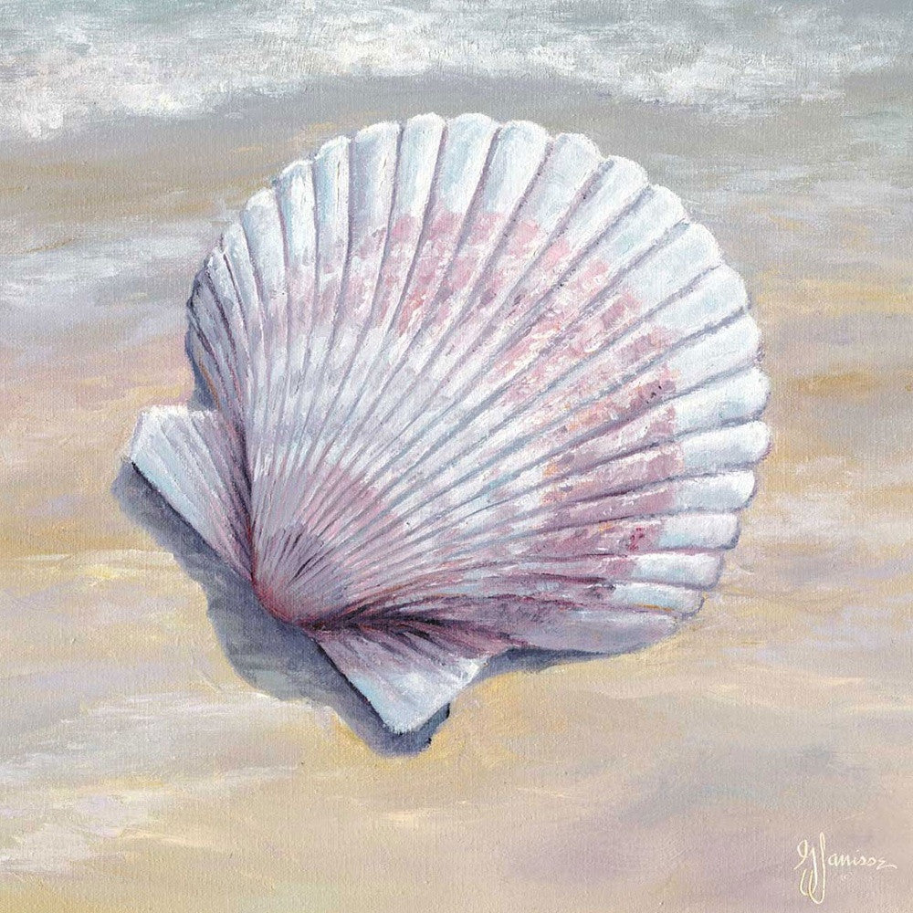 Scallop White Framed Print Wall Art