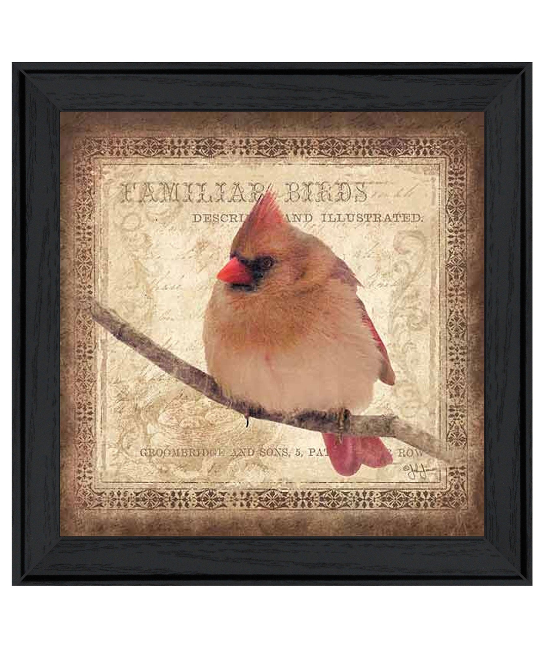 Female Cardinal 2 Black Framed Print Wall Art