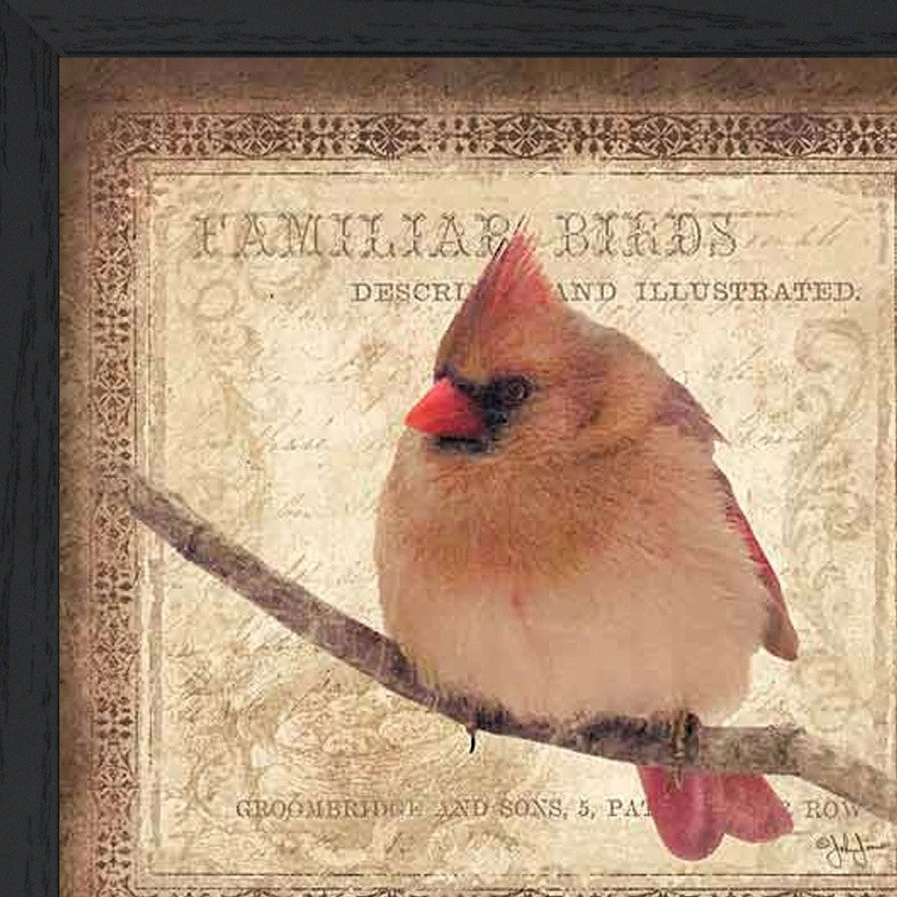 Female Cardinal 2 Black Framed Print Wall Art