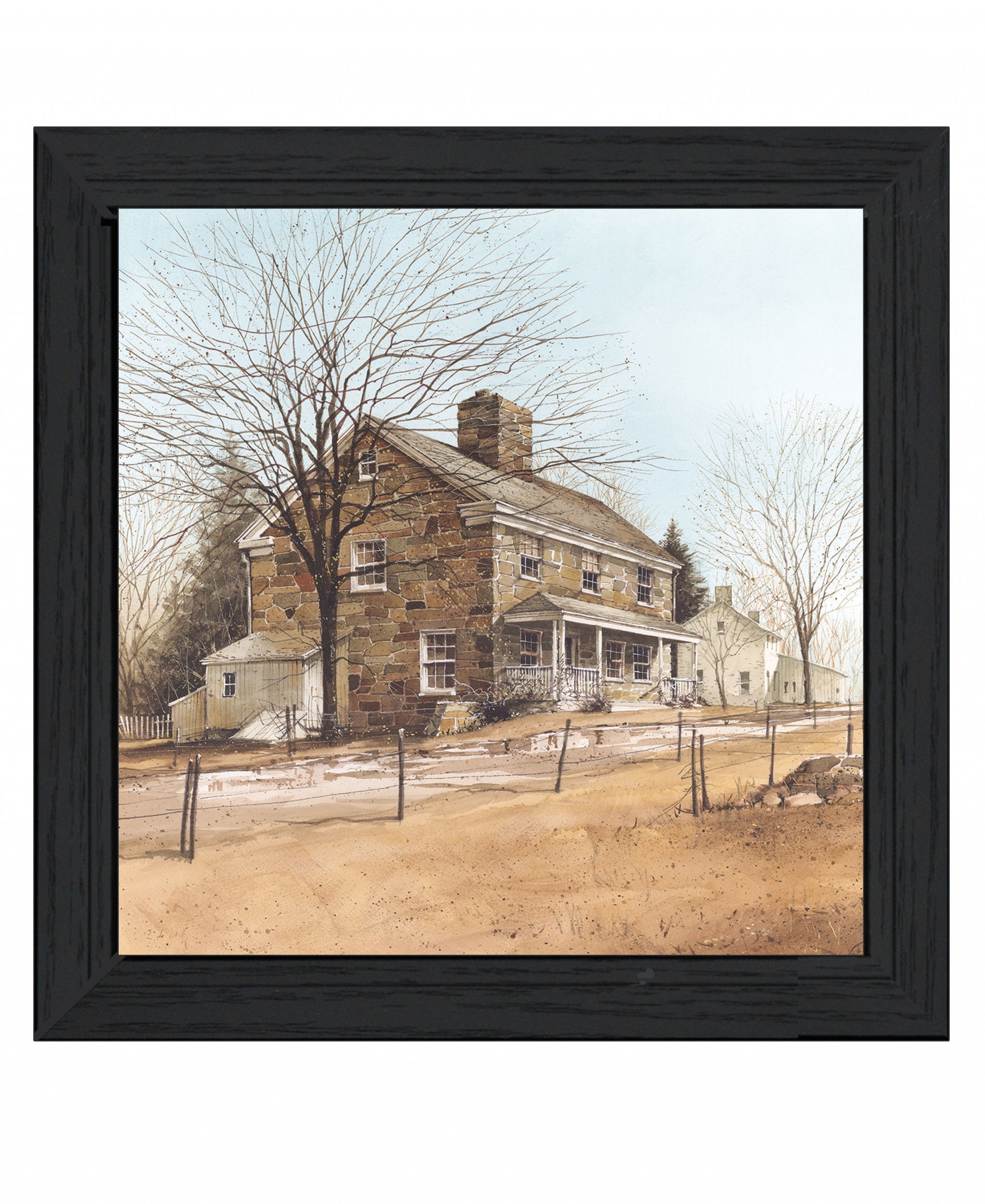 House On Chestnut Black Framed Print Wall Art