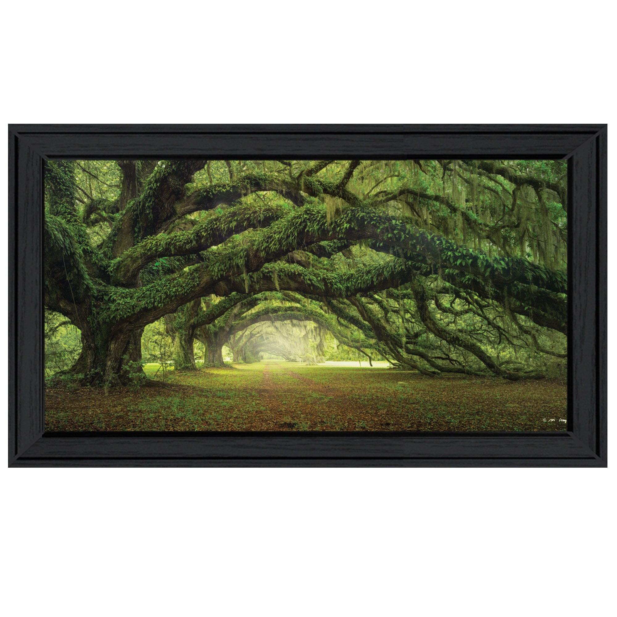 Passage 1 Black Framed Print Wall Art