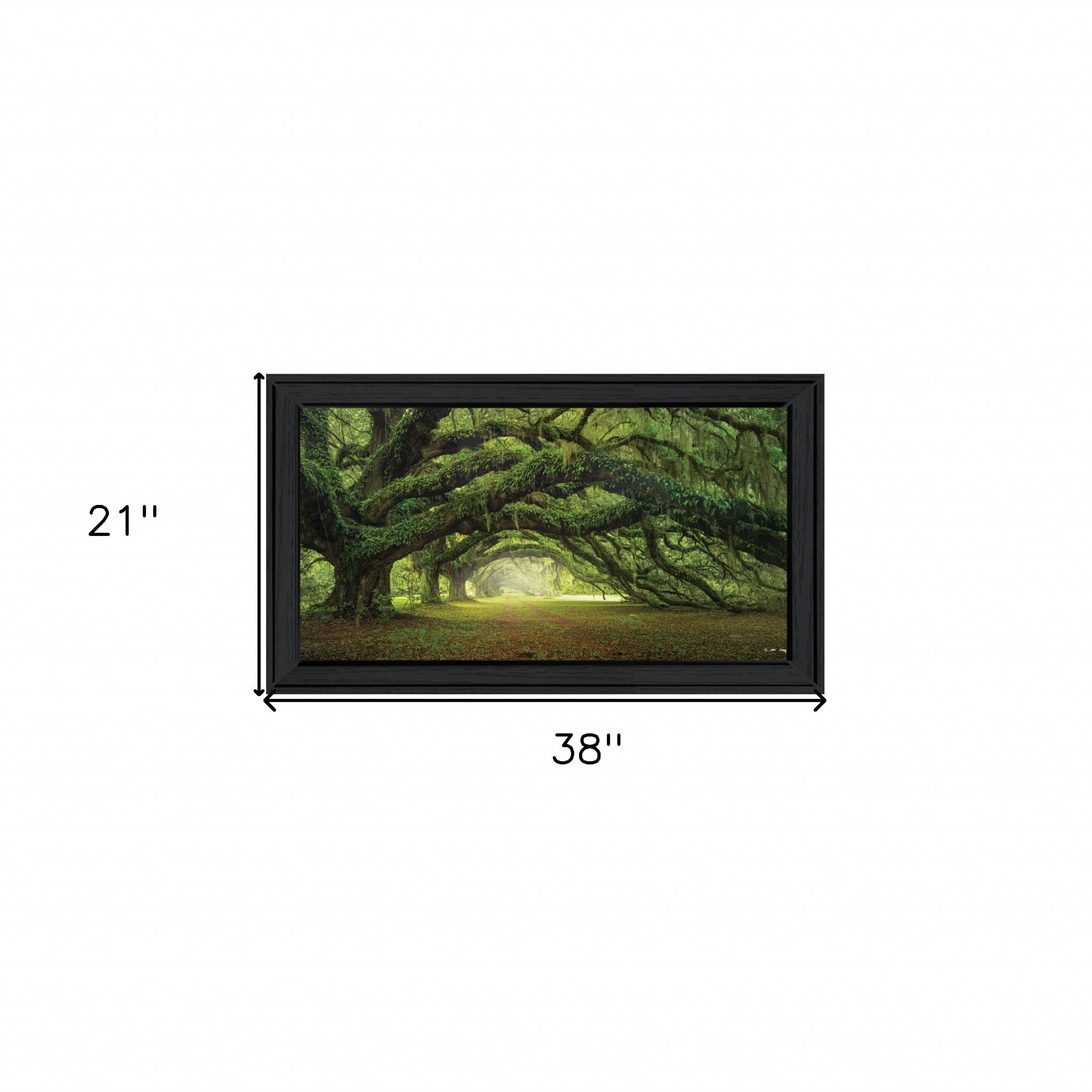 Passage 1 Black Framed Print Wall Art