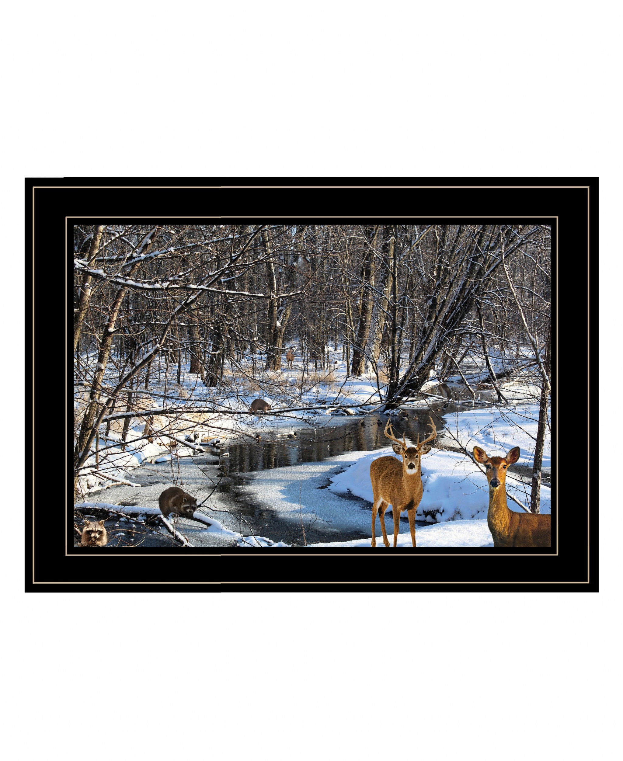 Great Outdoors Nature 2 Black Framed Print Wall Art