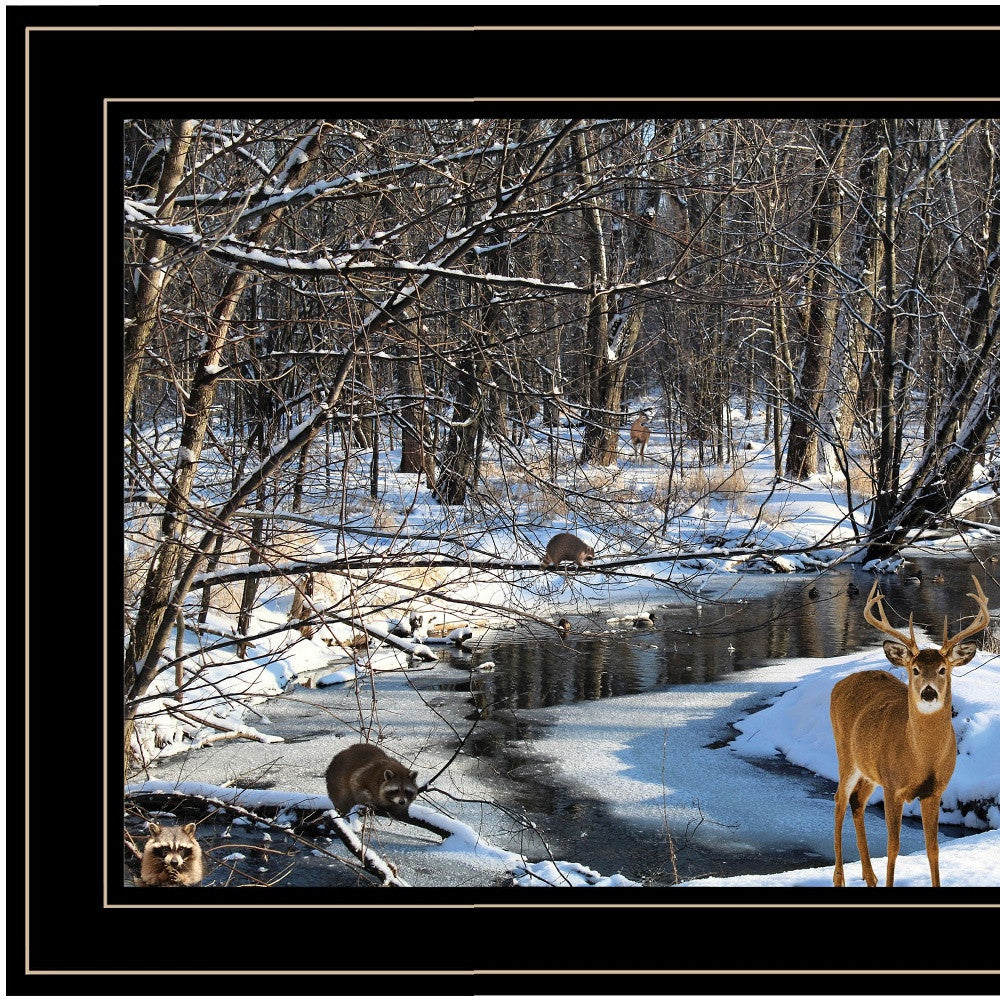 Great Outdoors Nature 2 Black Framed Print Wall Art