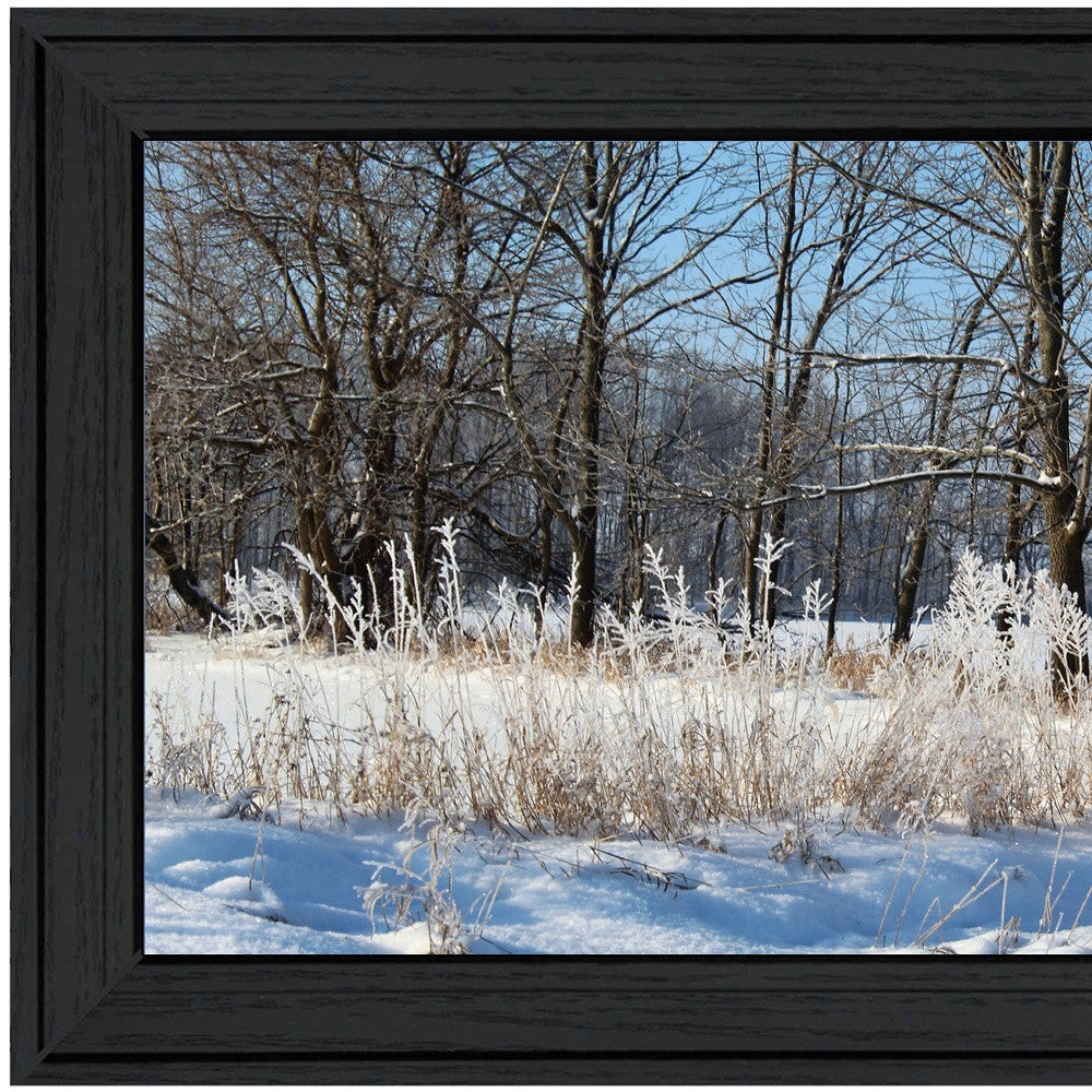 Natures Simple Blessings 1 Black Framed Print Wall Art