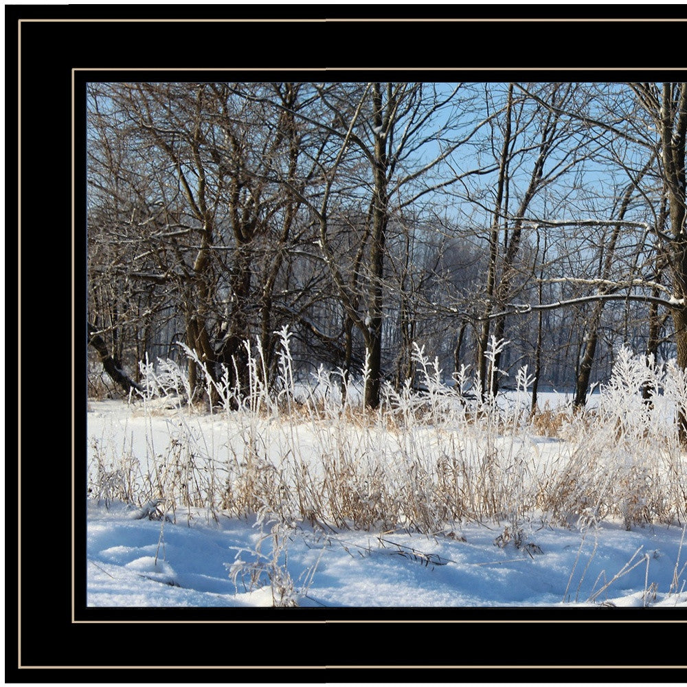 Natures Simple Blessings 2 Black Framed Print Wall Art