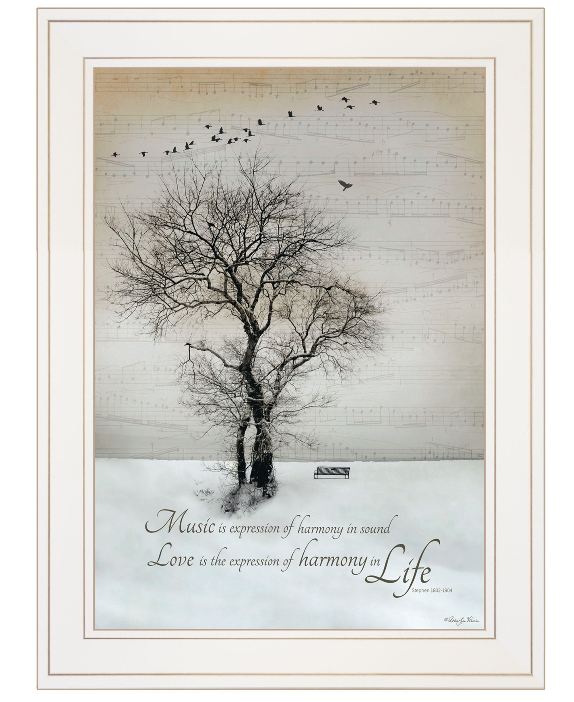 Harmony 1 White Framed Print Wall Art