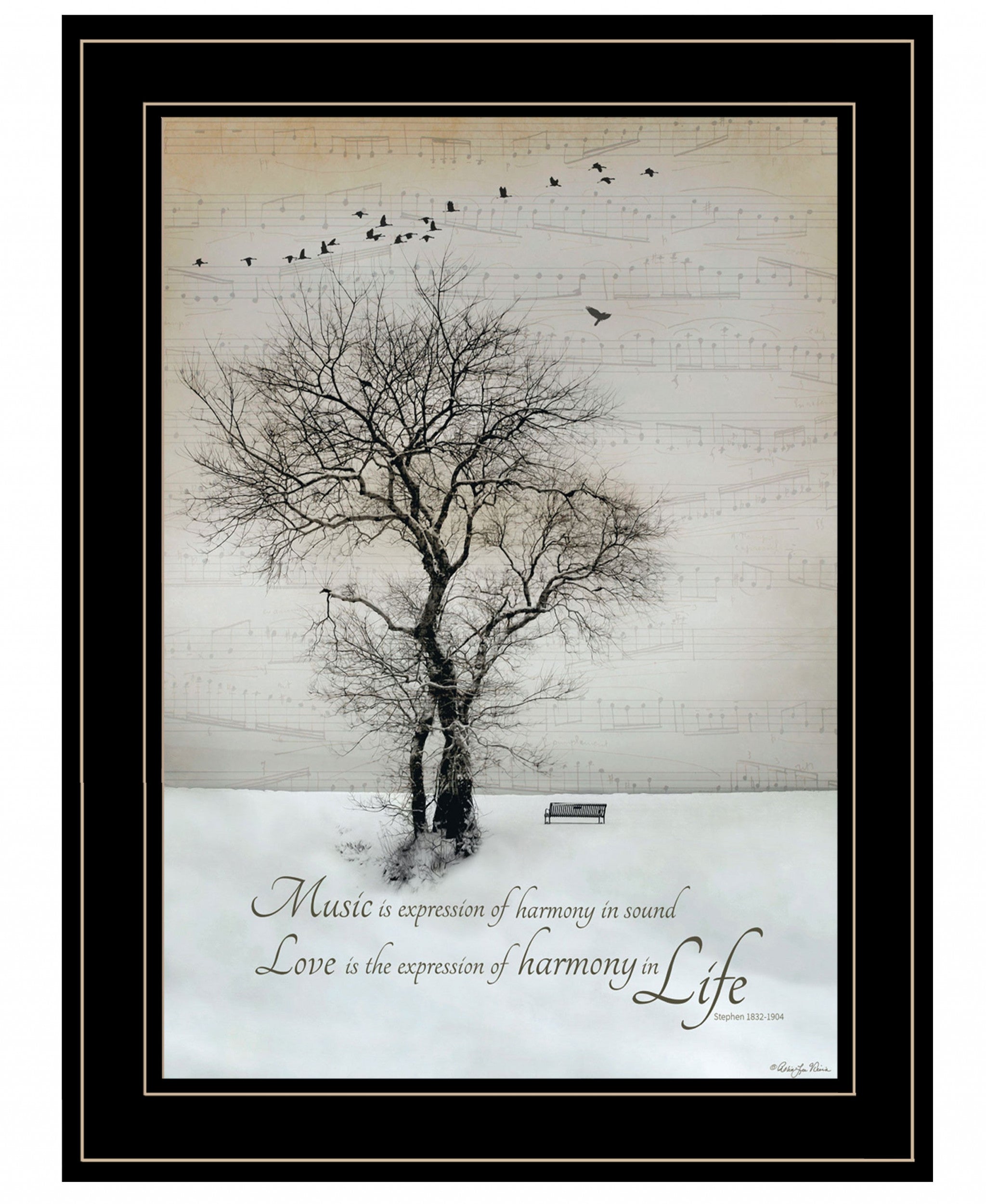 Harmony 2 Black Framed Print Wall Art