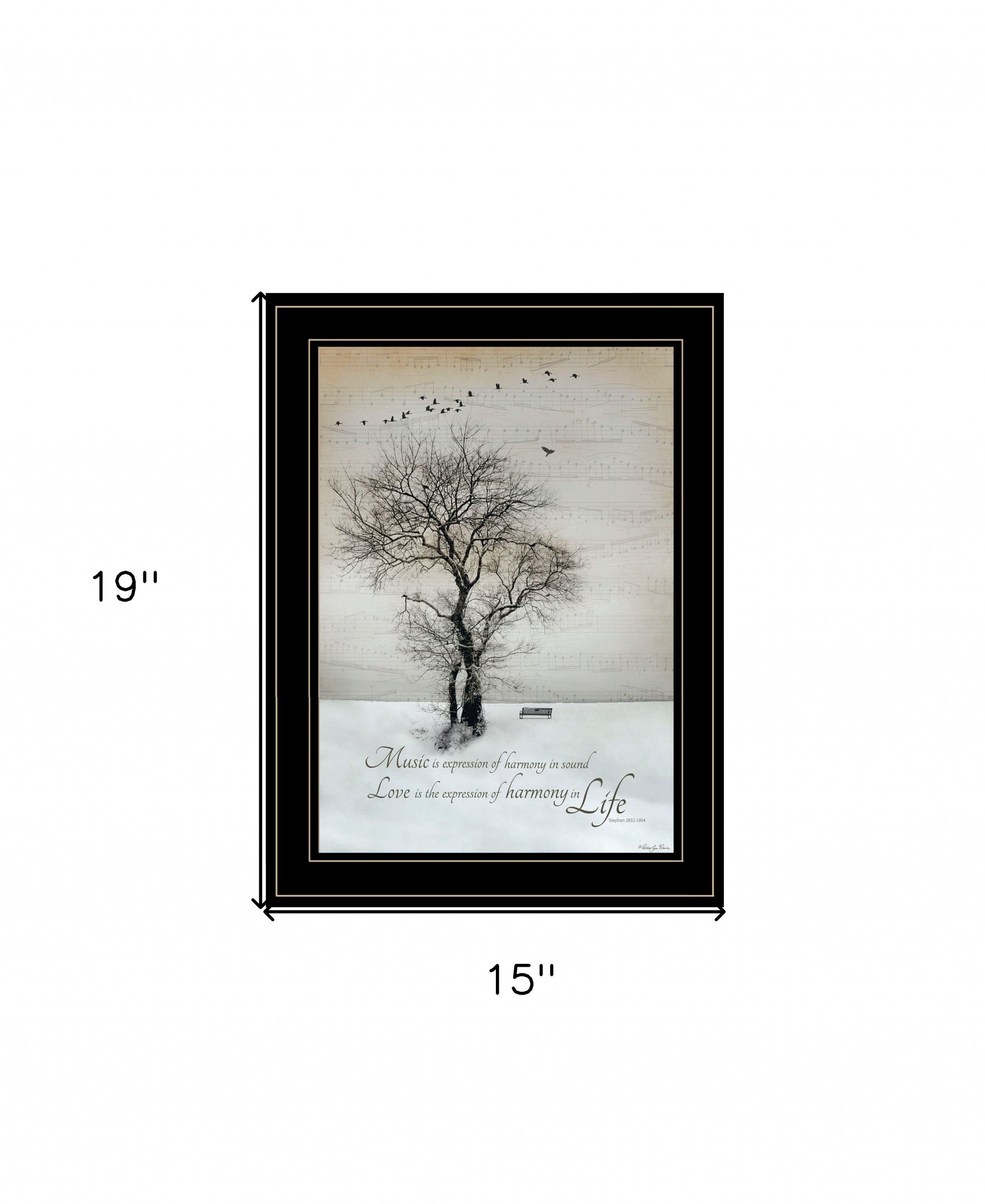 Harmony 2 Black Framed Print Wall Art