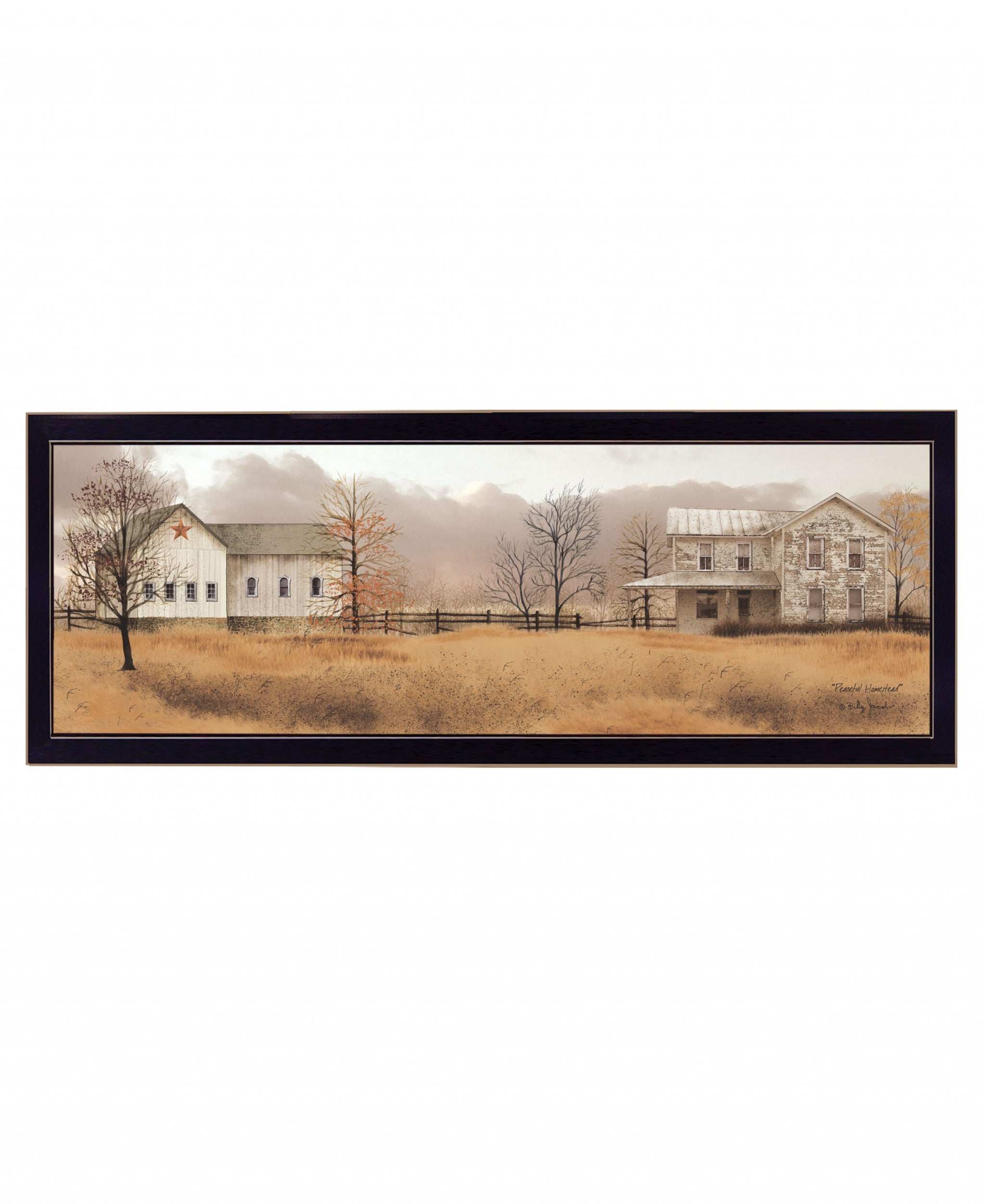 Peaceful Homestead 3 Black Framed Print Wall Art