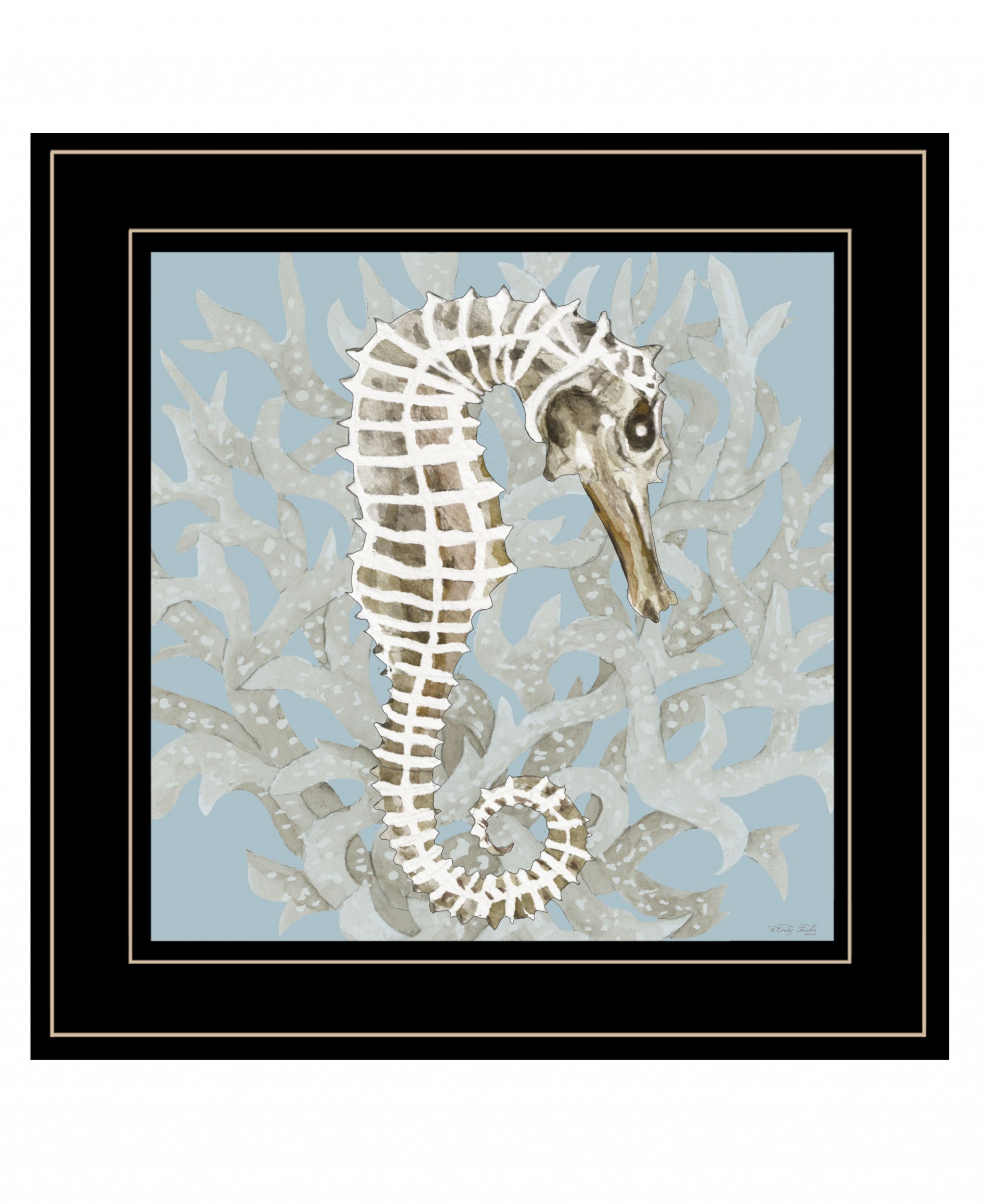 Coral Seahorse I 3 Black Framed Print Wall Art