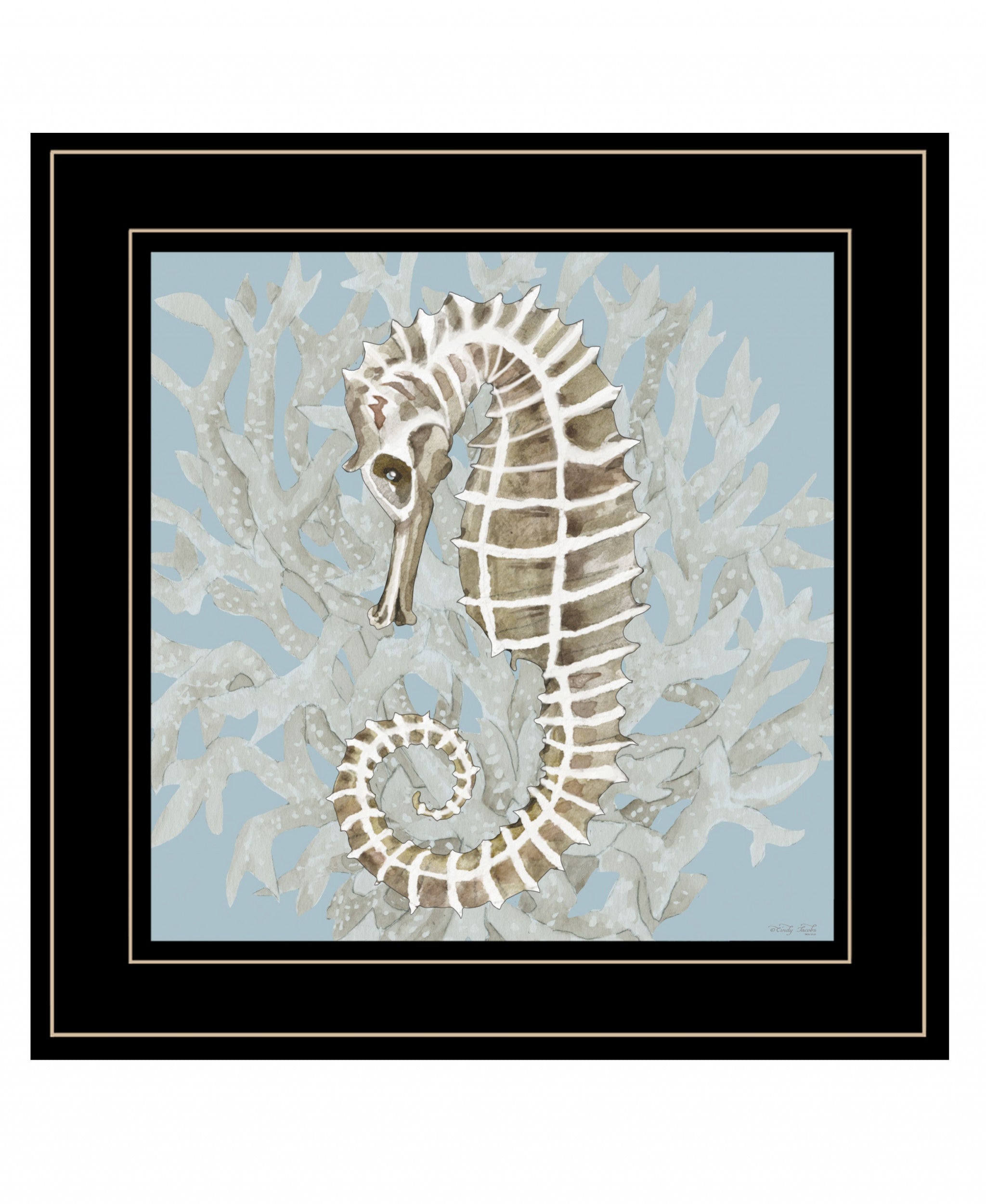 Coral Seahorse II 3 Black Framed Print Wall Art