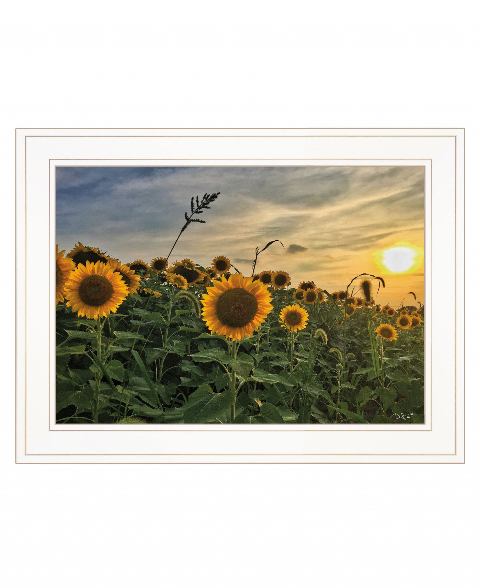 Midwest Livin I 1 White Framed Print Wall Art