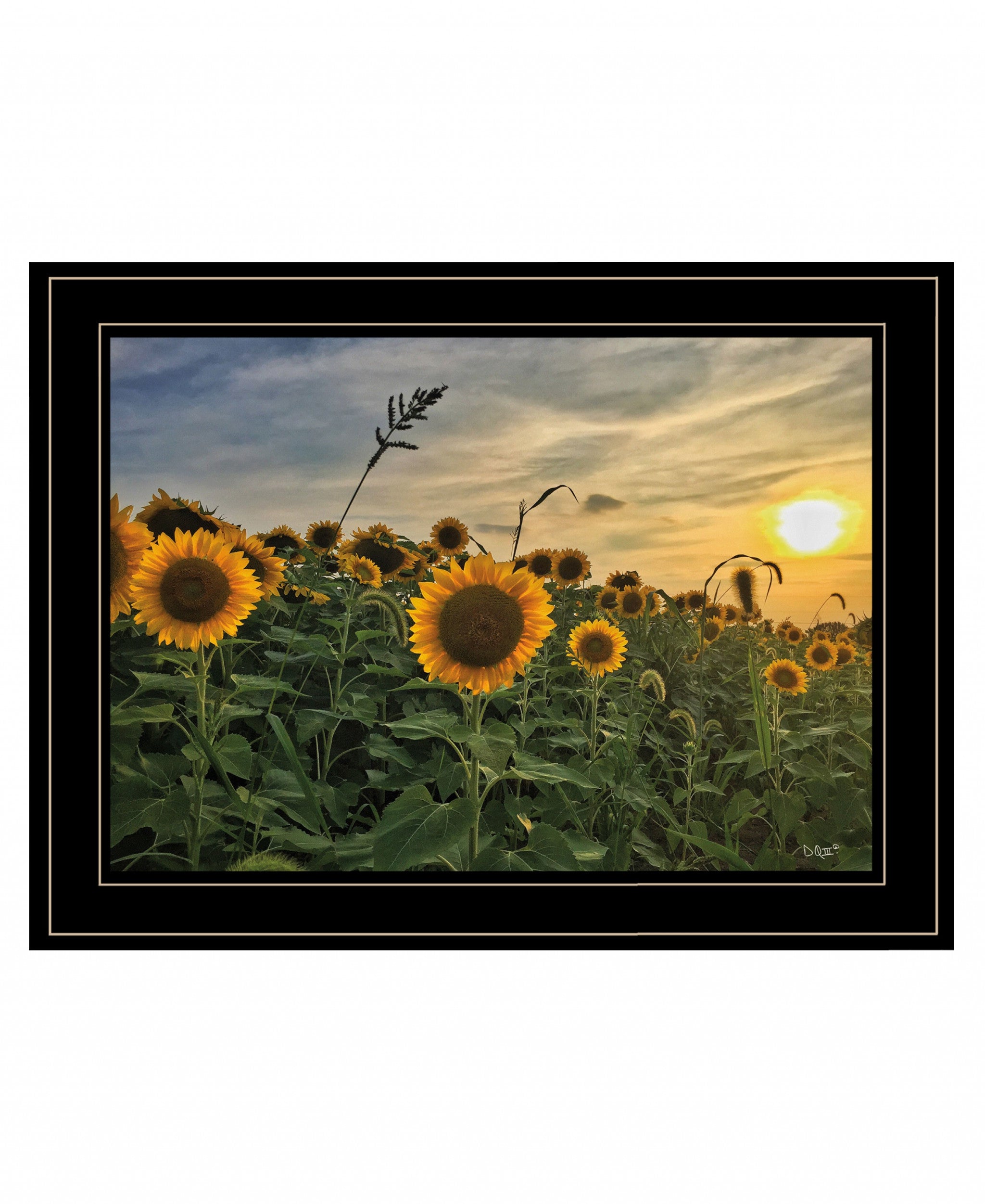 Midwest Livin I 3 Black Framed Print Wall Art