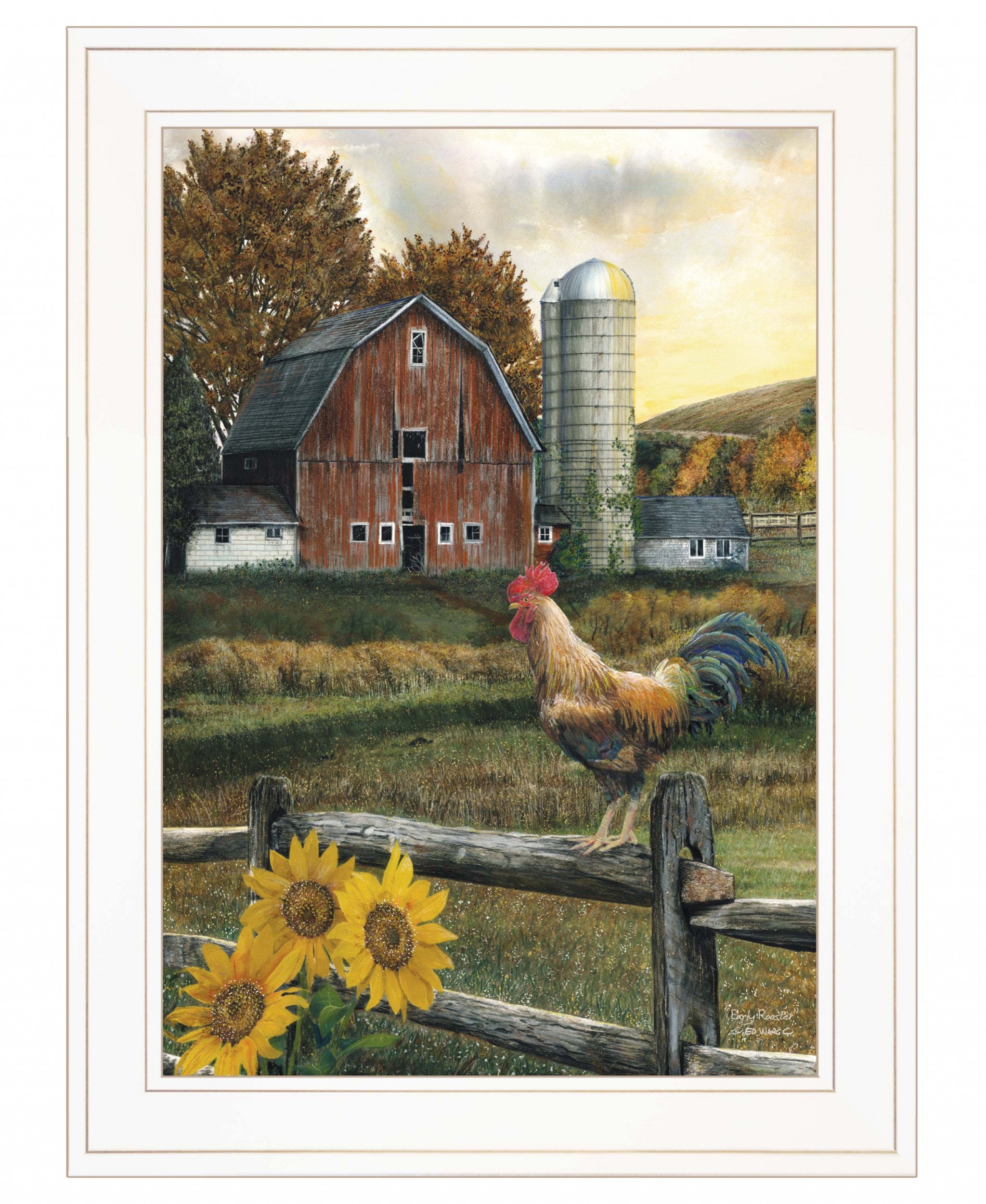 Early Rooster 2 White Framed Print Wall Art