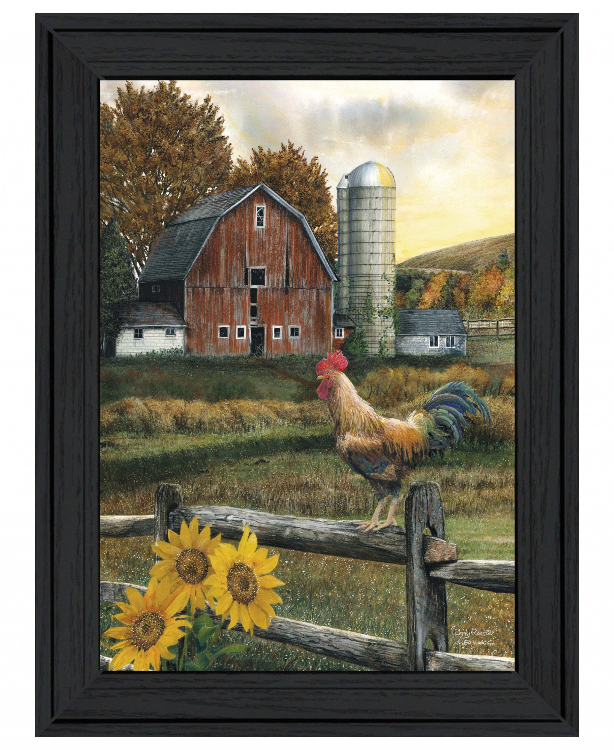 Early Rooster 3 Black Framed Print Wall Art