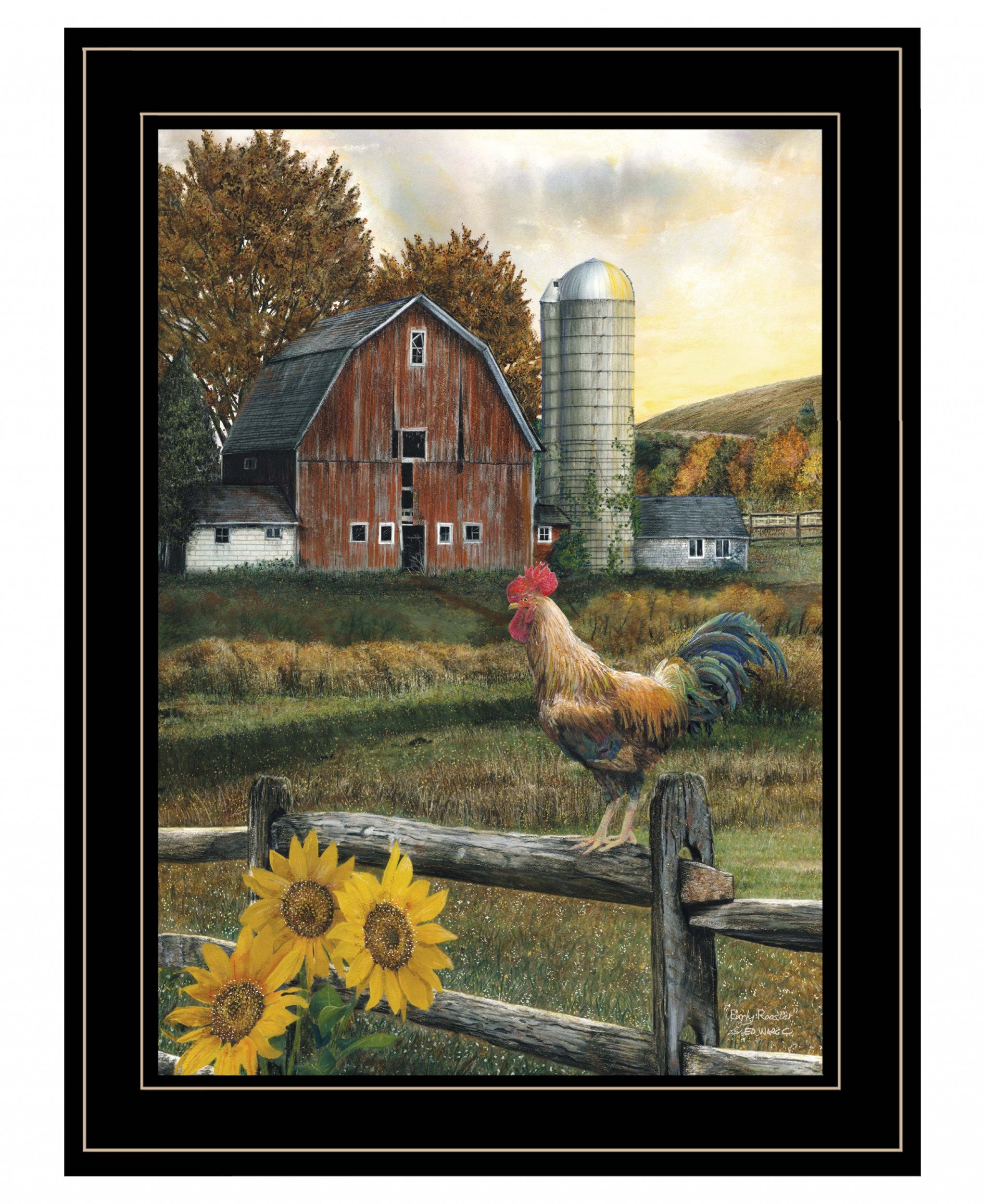 Early Rooster 4 Black Framed Print Wall Art