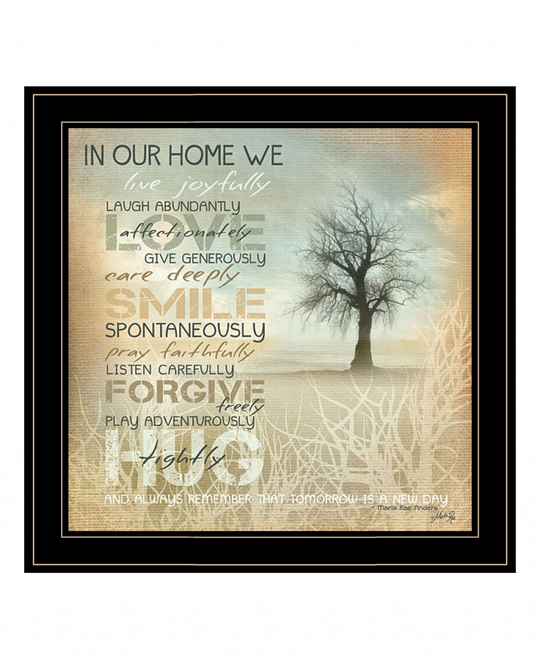 In Our Home 5 Black Framed Print Wall Art