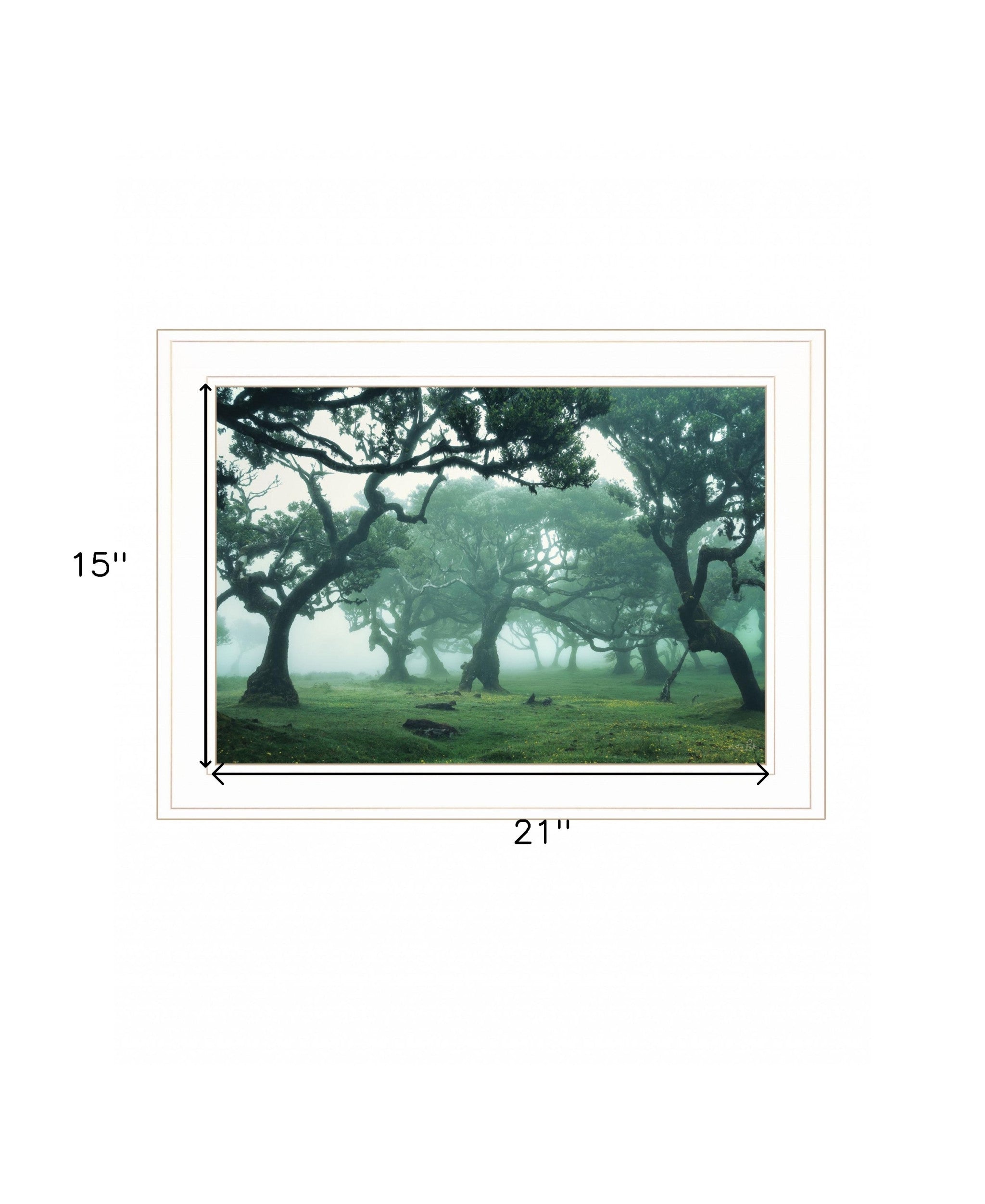 Enchanted Forest II 2 White Framed Print Wall Art