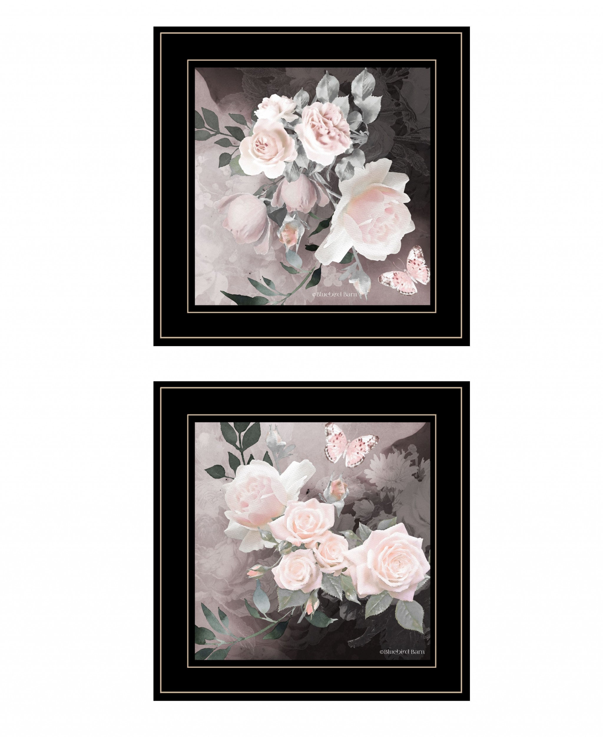 Set Of Two Noir Roses 3 Black Framed Print Wall Art