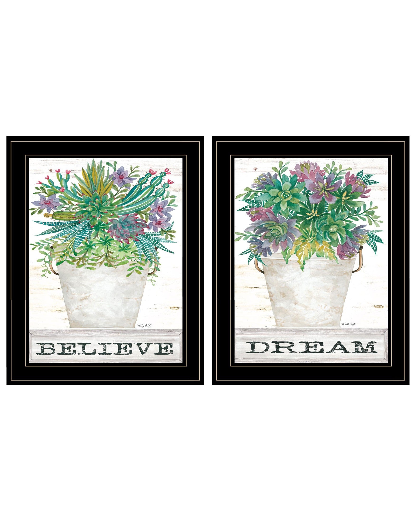 Set Of Two Succulents Dream and Believe Black Framed Print Wall Art