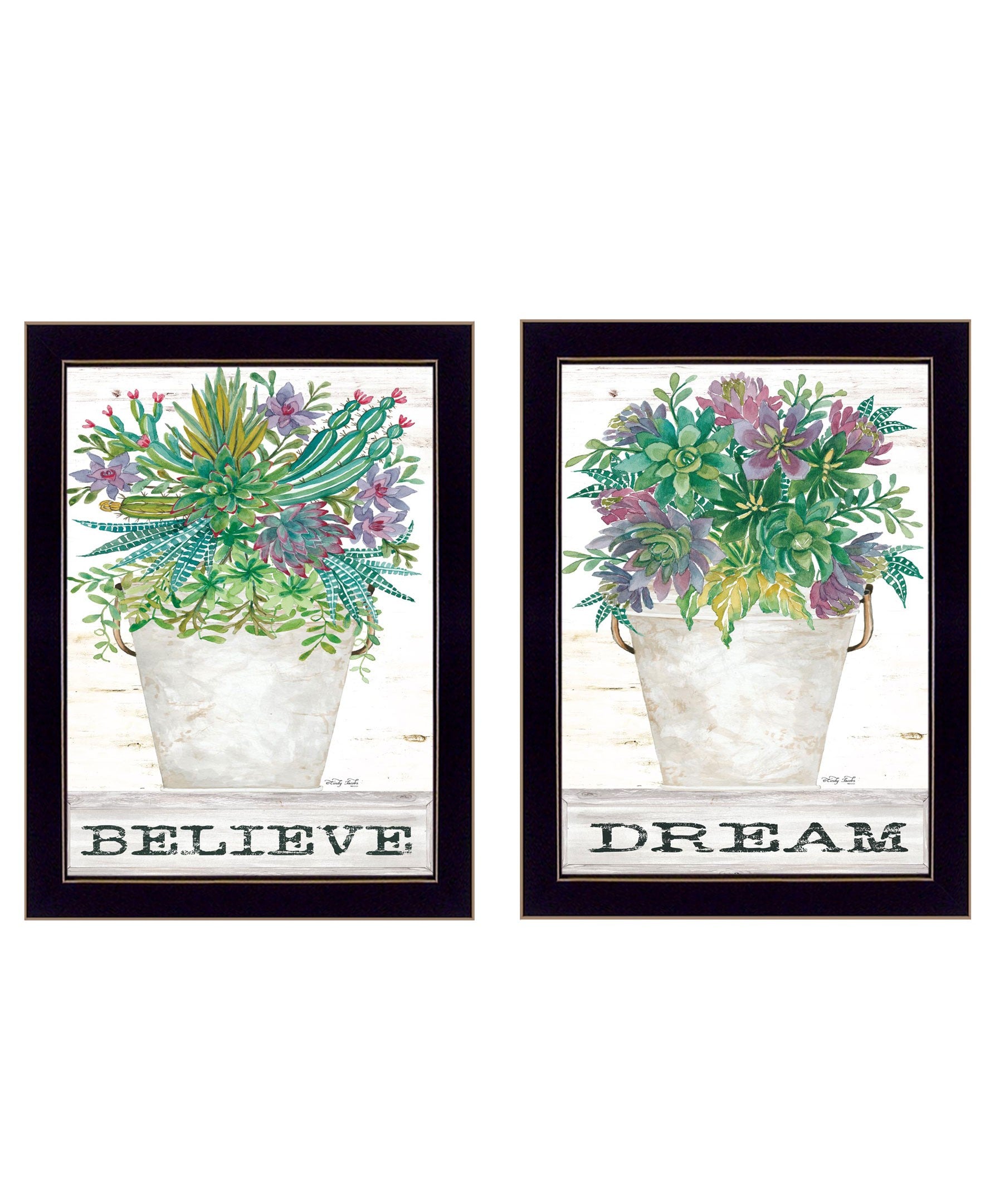 Set Of Two Succulents Dream and Believe Black Framed Print Wall Art