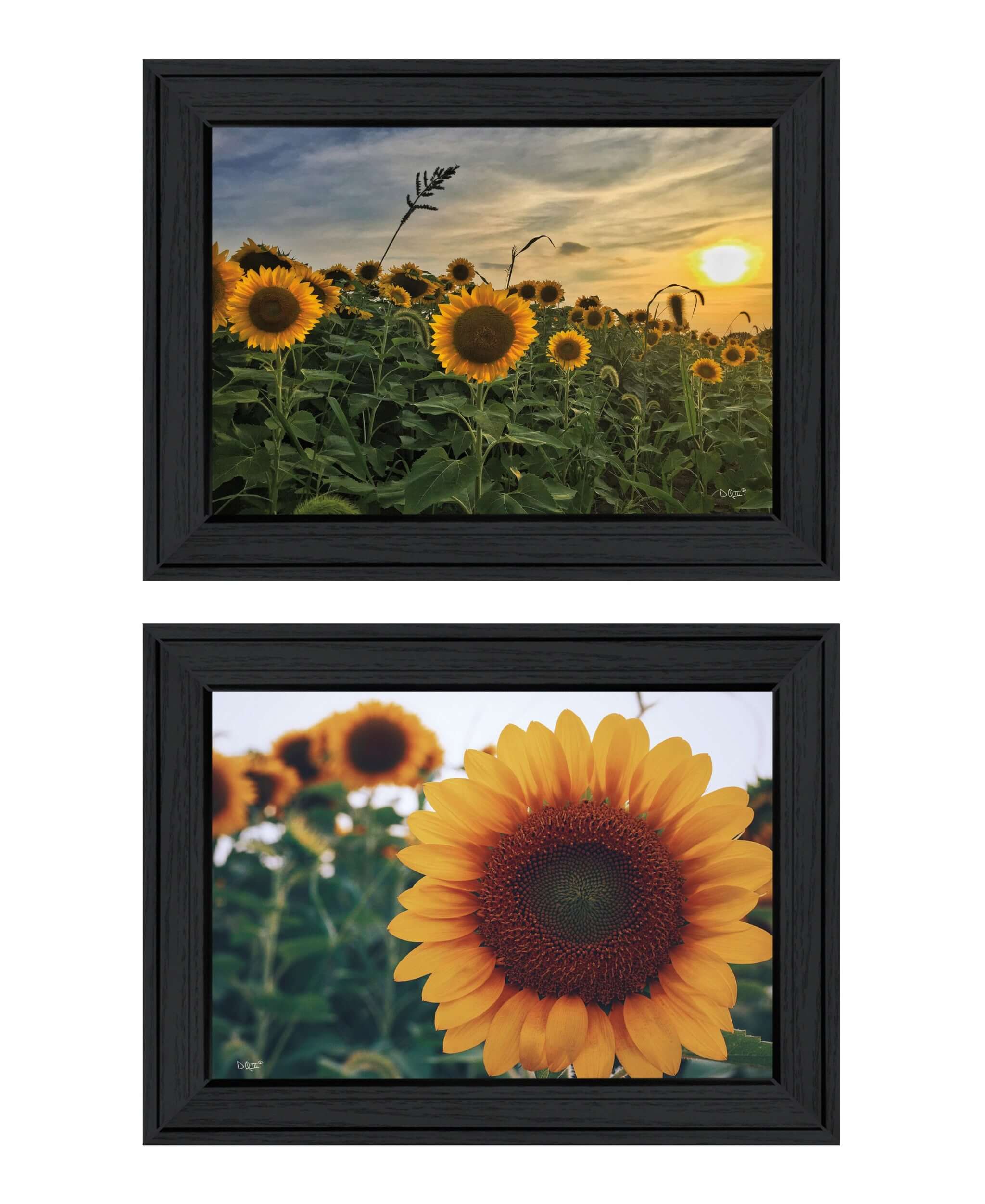 Set Of Two Midwest Living 2 Black Framed Print Wall Art