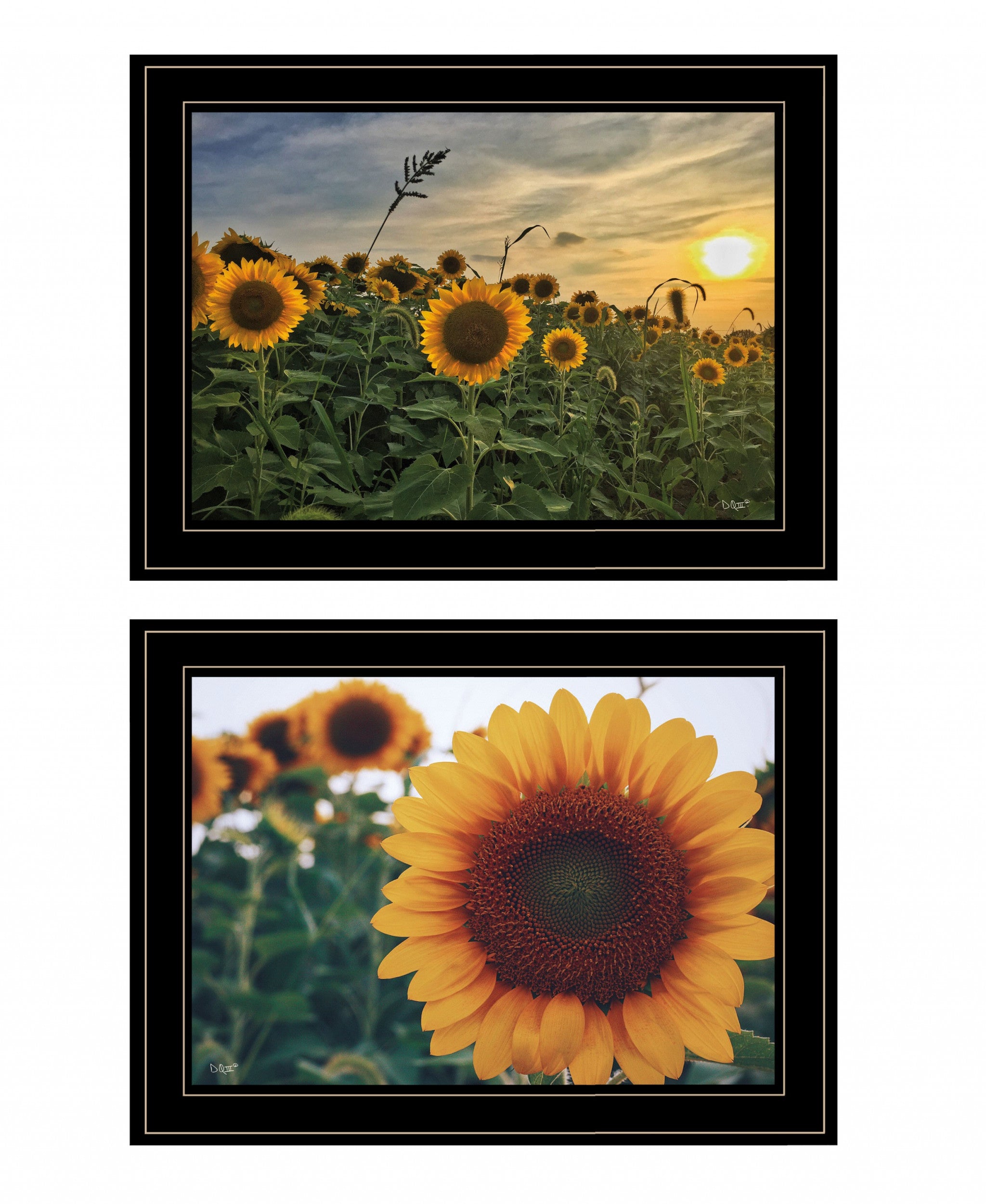 Set Of Two Midwest Living 3 Black Framed Print Wall Art