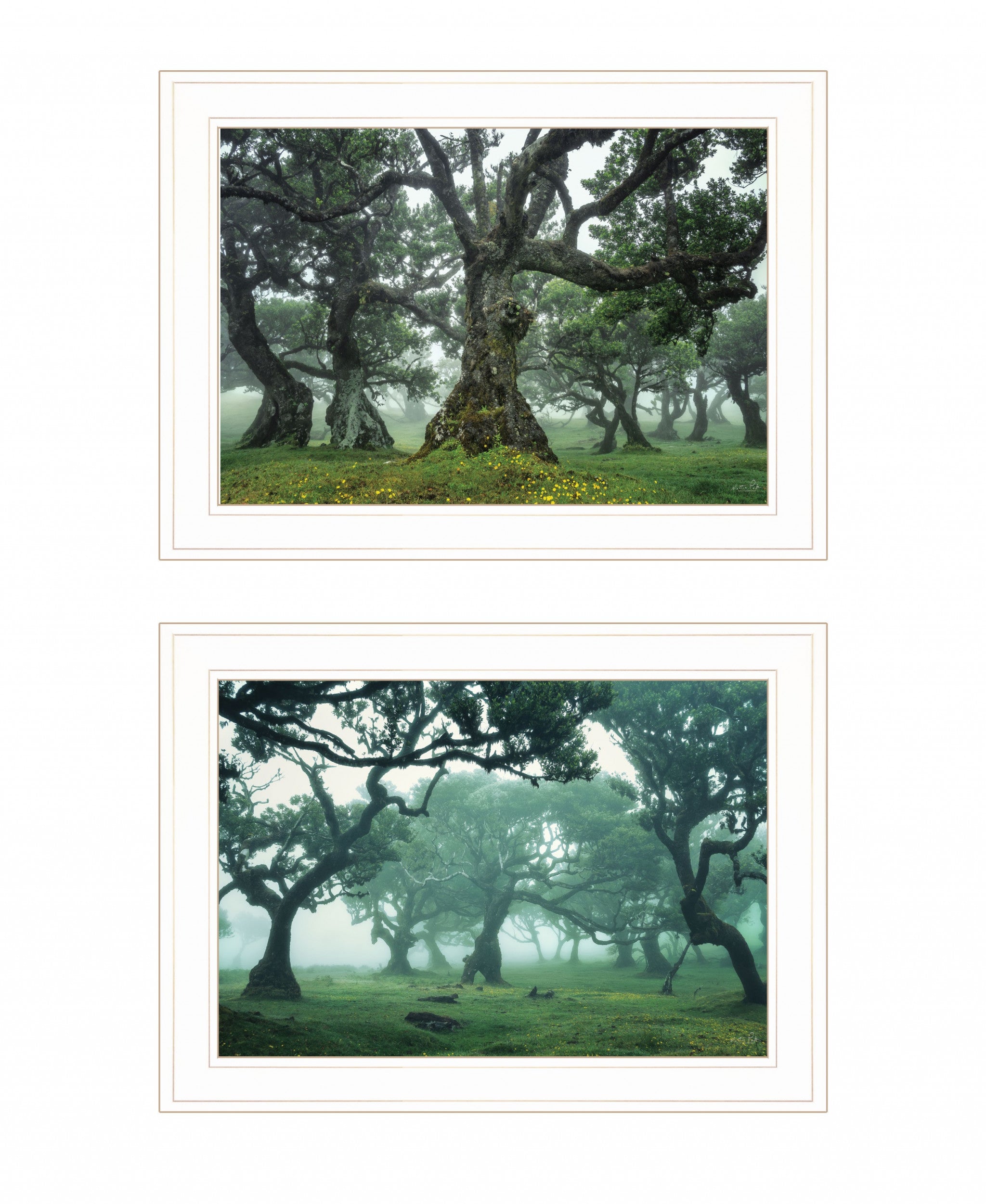 Set Of Two Enchanted Forest 1 White Framed Print Wall Art