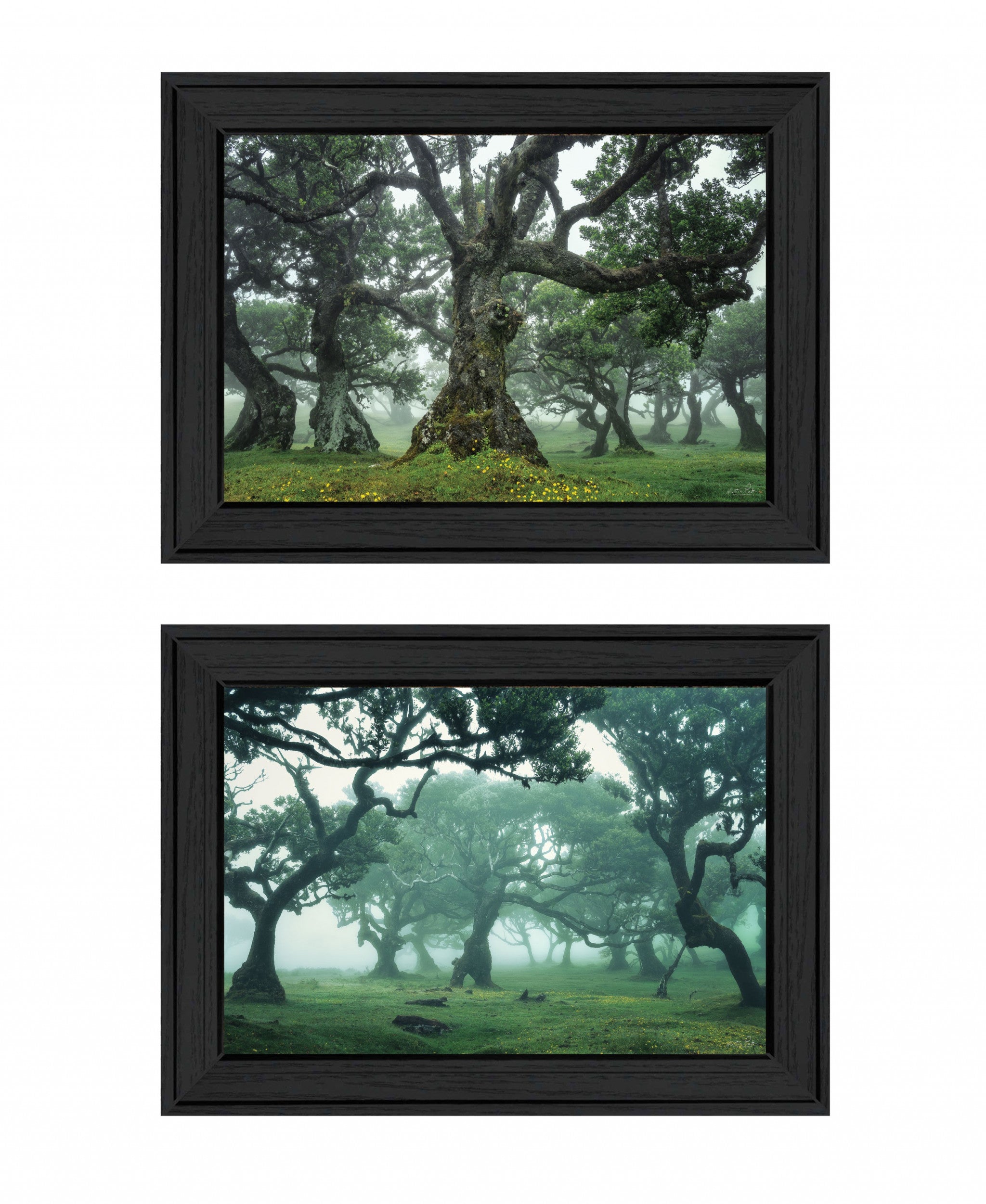 Set Of Two Enchanted Forest 2 Black Framed Print Wall Art