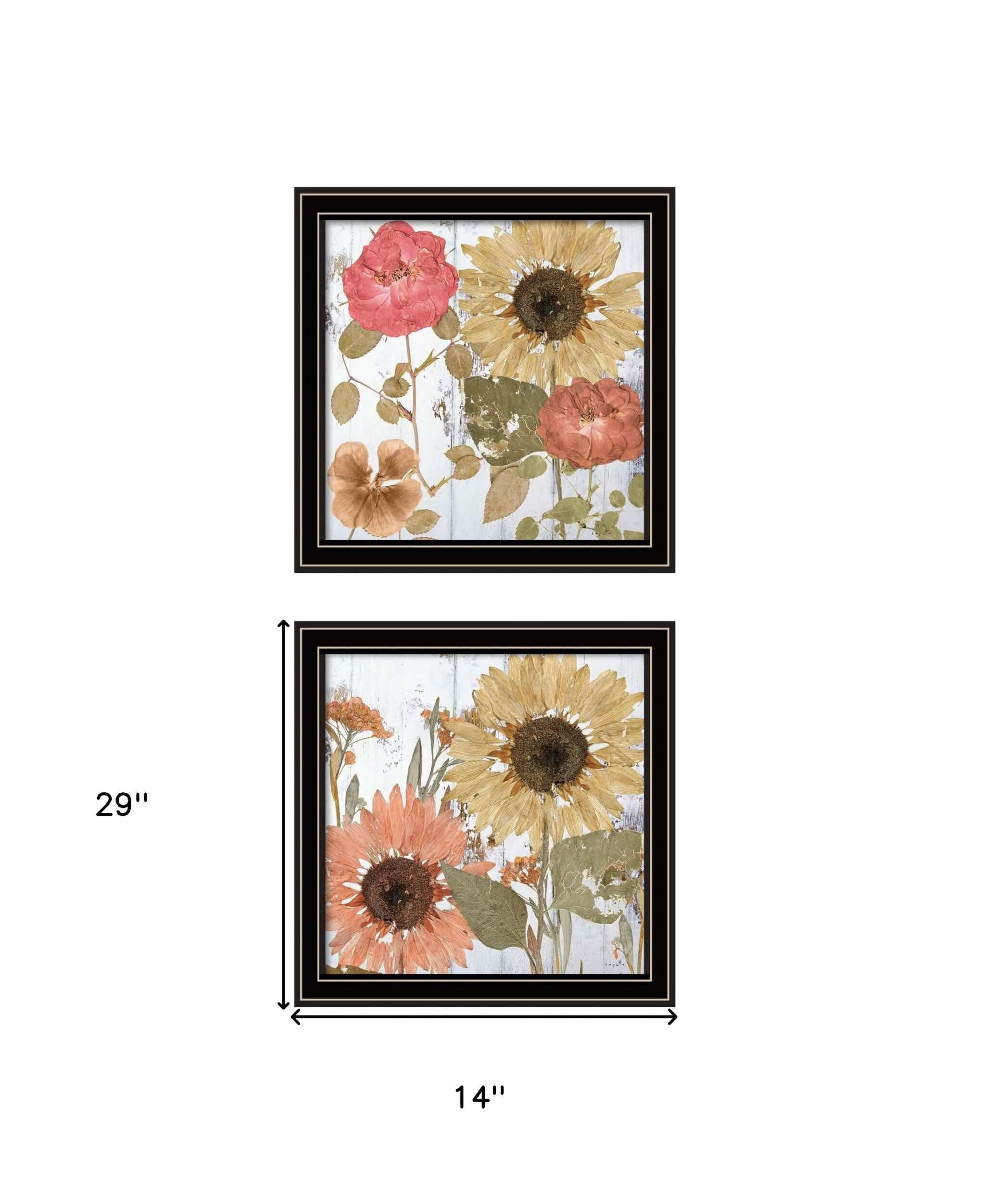 Set Of Two Earth To Petals 1 Black Framed Print Wall Art