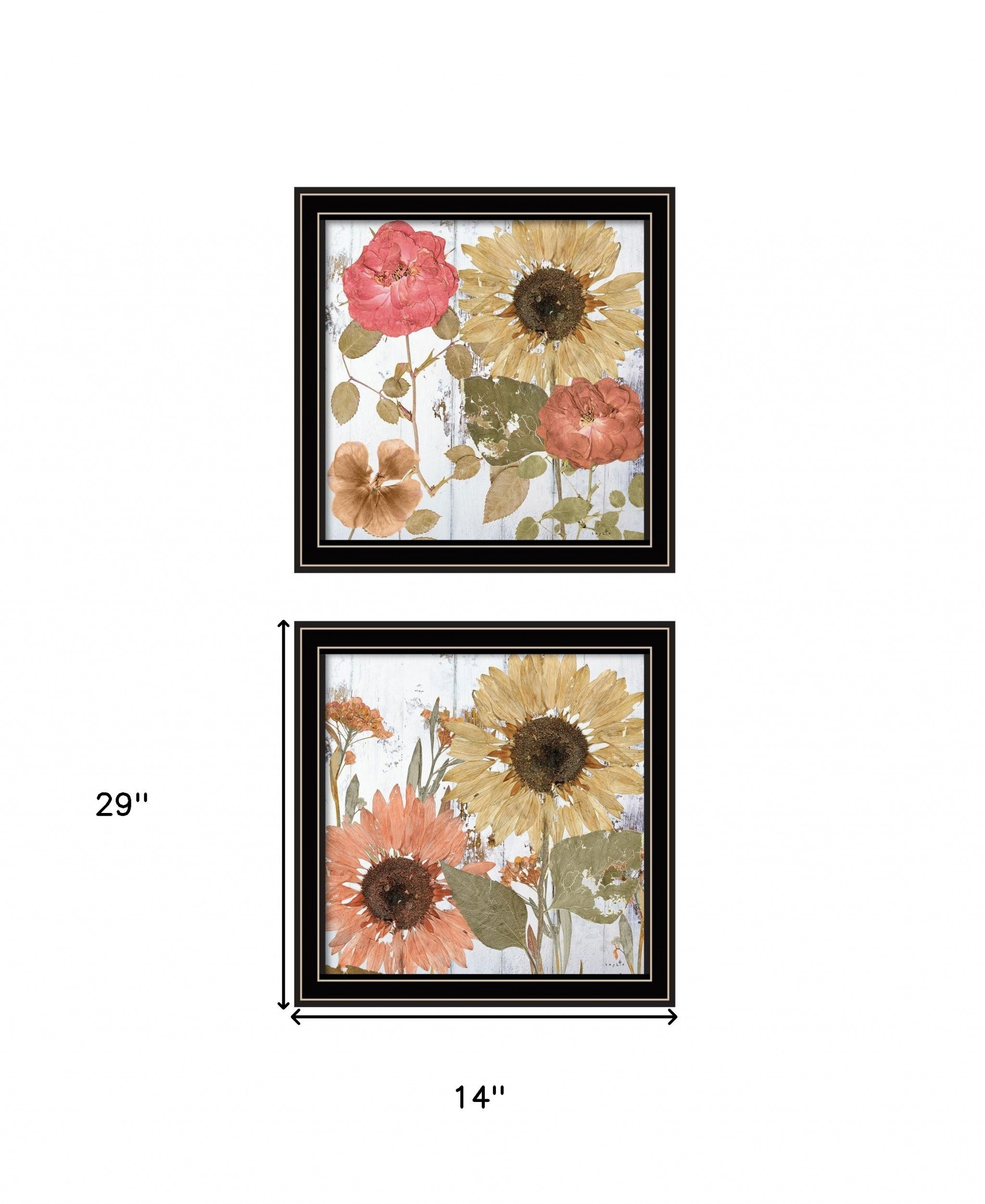 Set Of Two Earth to Petals 1 Black Framed Print Wall Art