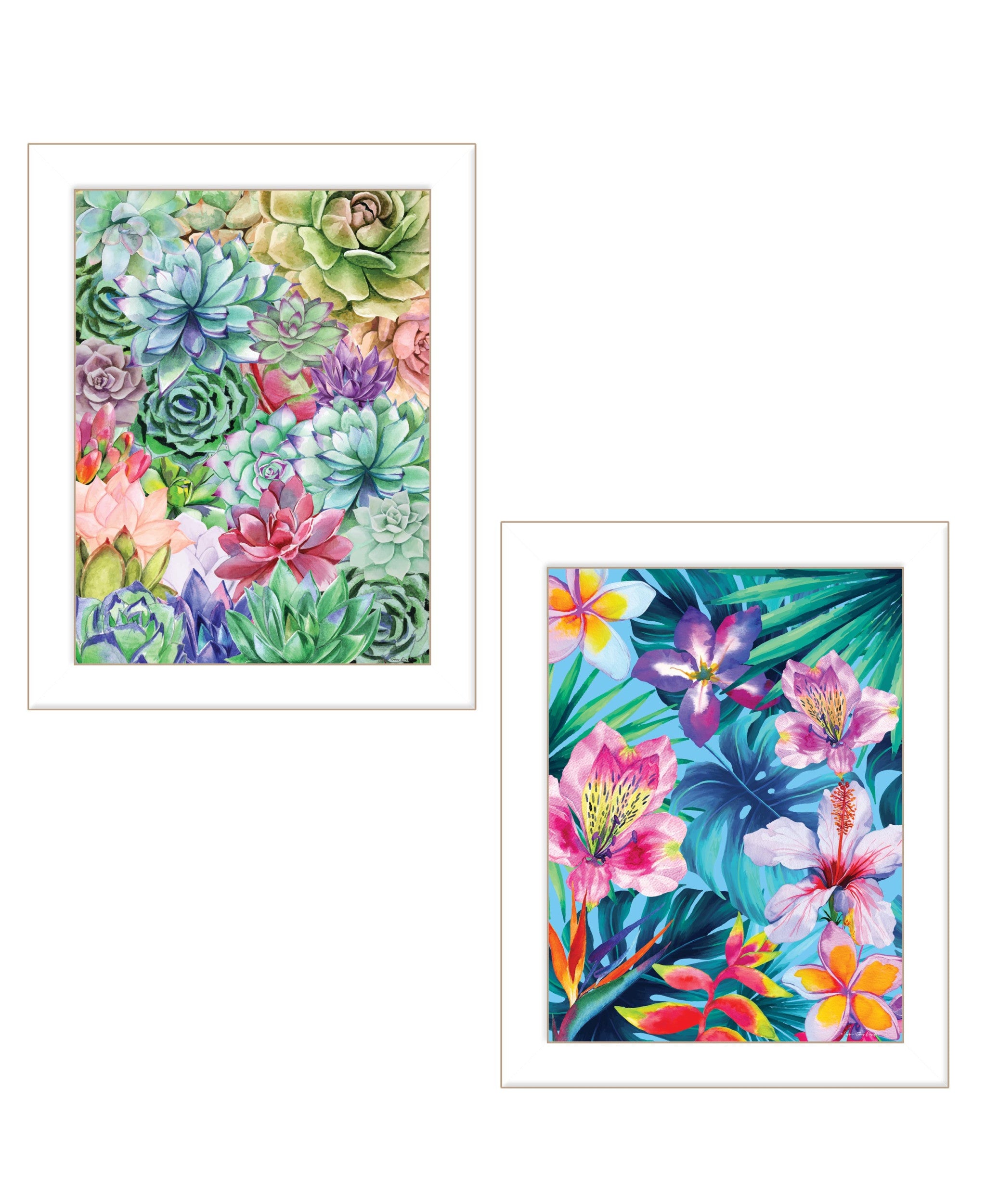 Set Of Two Succulents Paradise and Tropical Flowers White Framed Print Wall Art