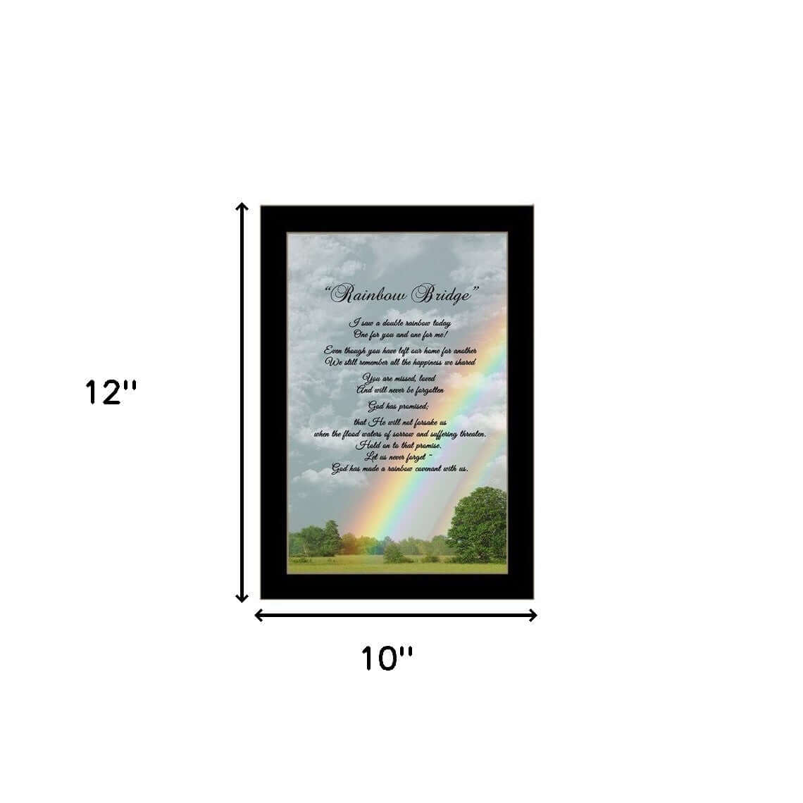 Rainbow Bridge Black Framed Print Wall Art