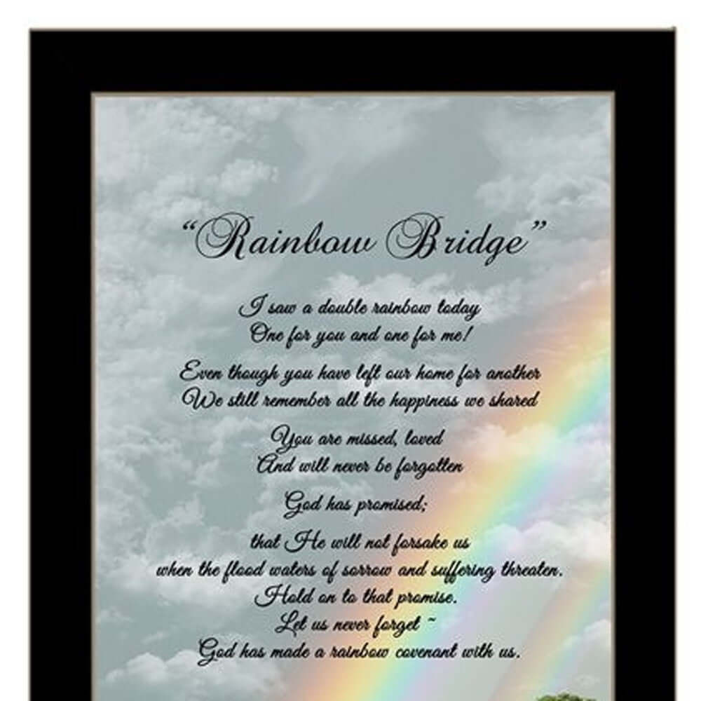 Rainbow Bridge Black Framed Print Wall Art