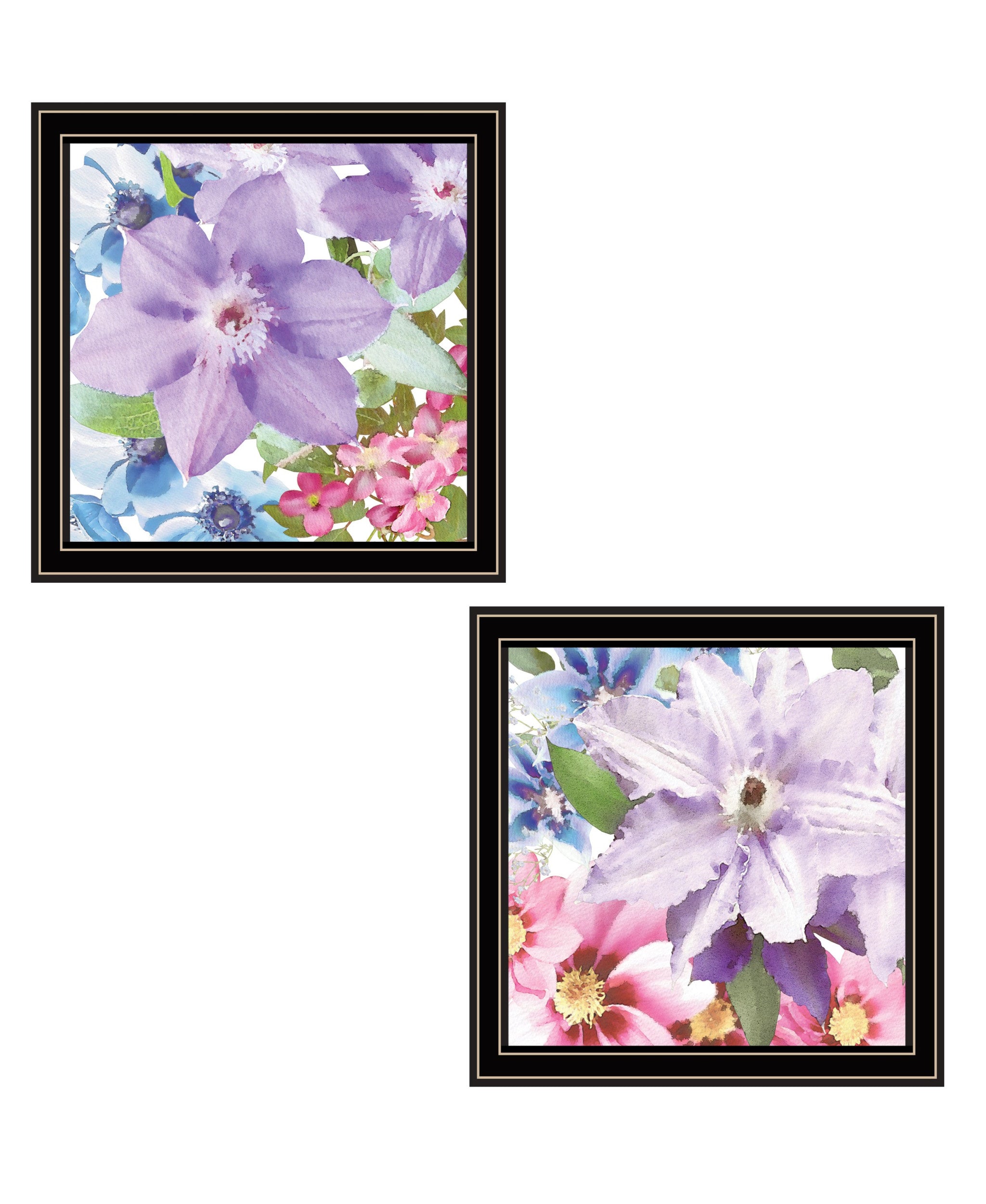 Set Of Two Clematis Black Framed Print Wall Art