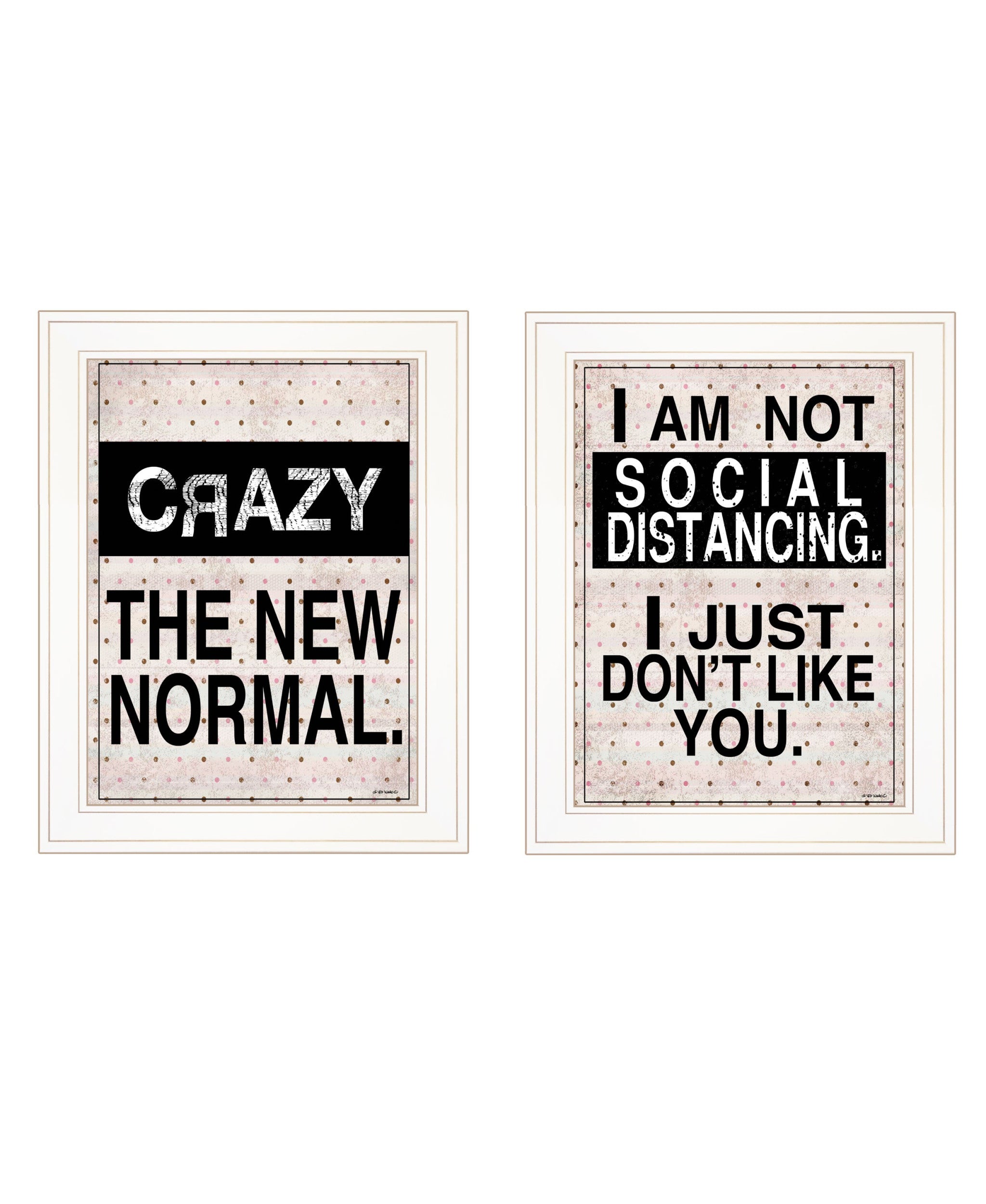 Set Of Two The New Normal White Framed Print Wall Art