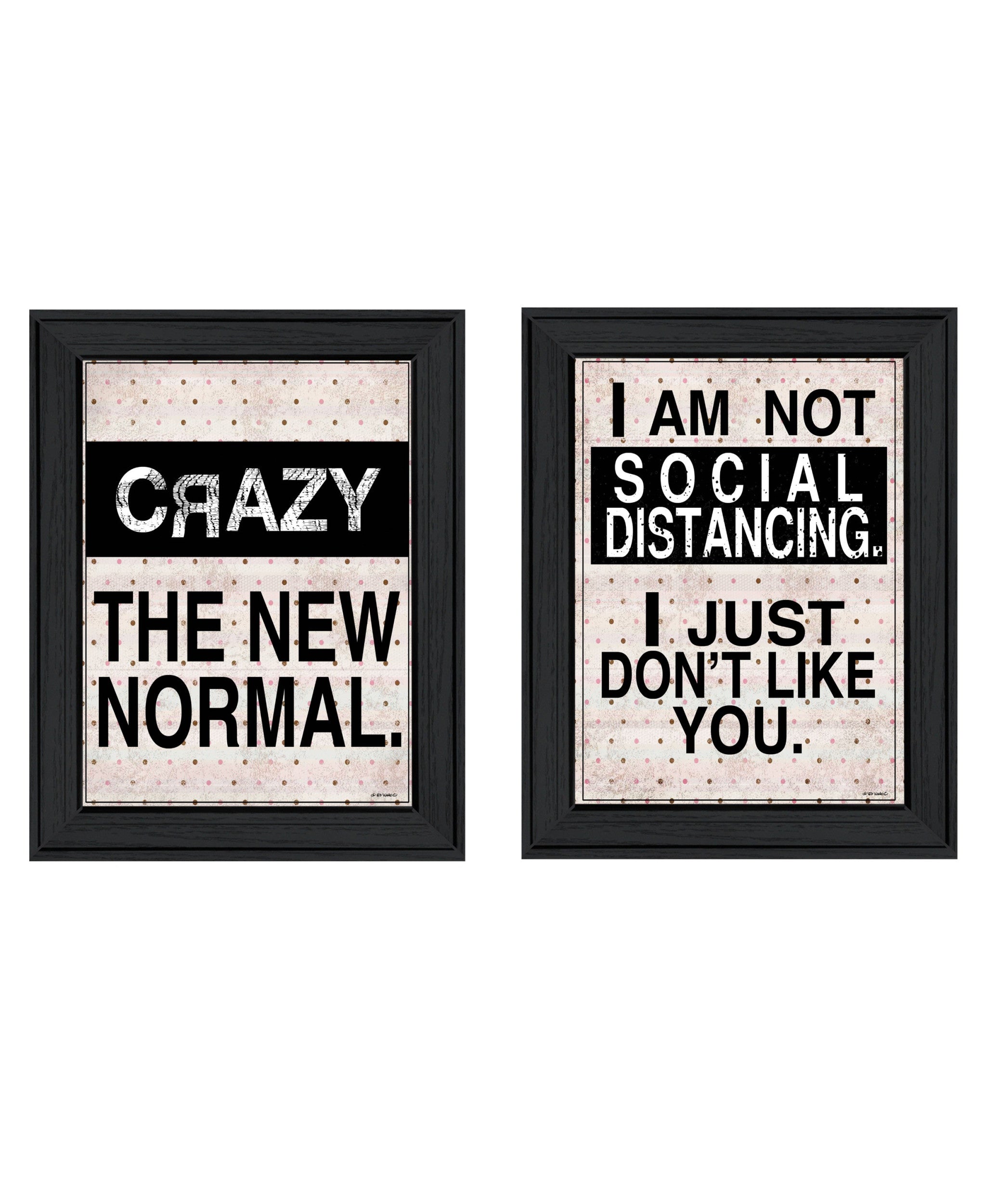 Set Of Two The New Normal Black Framed Print Wall Art