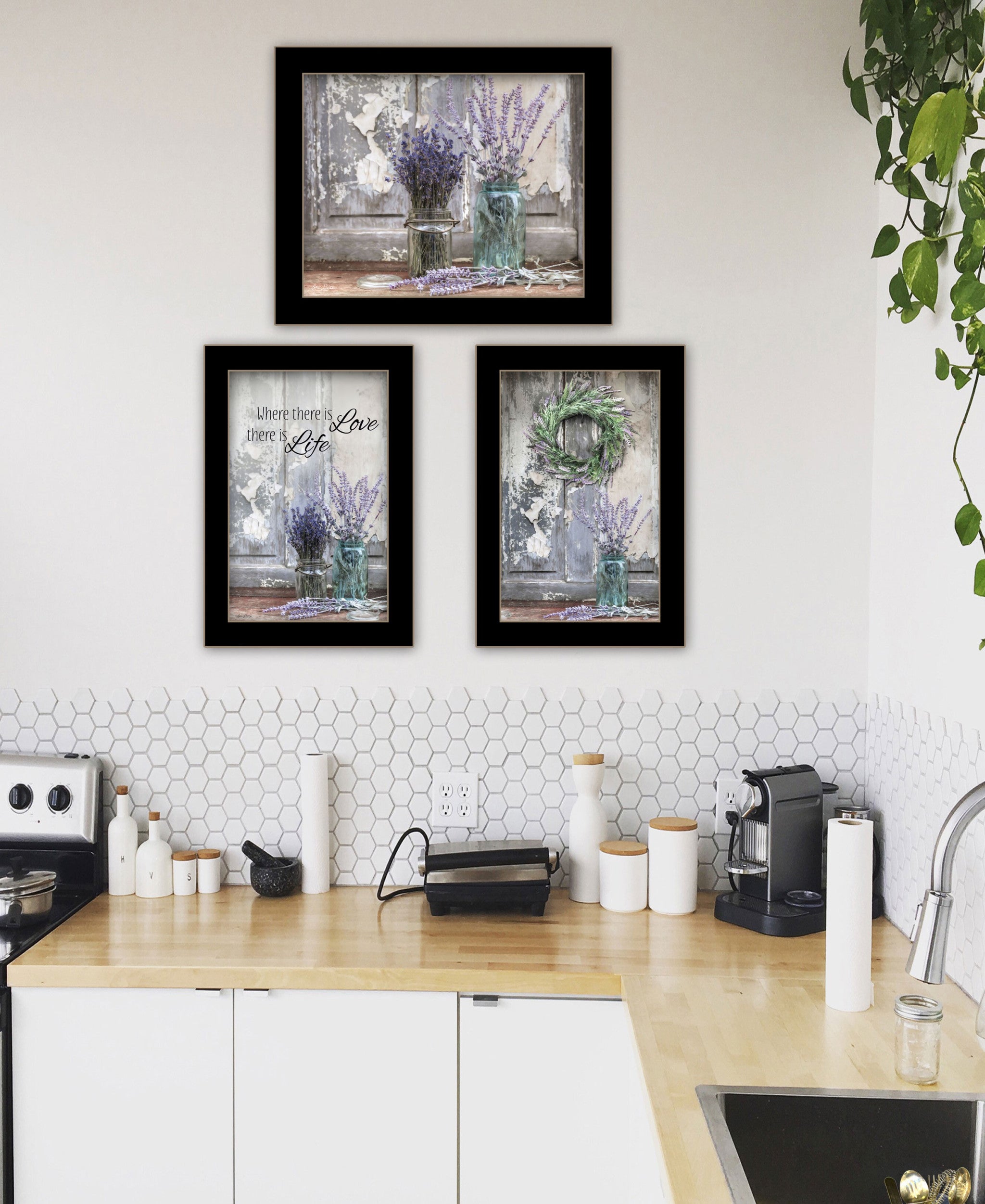 Set Of Three Abundance of Beauty Black Framed Print Wall Art