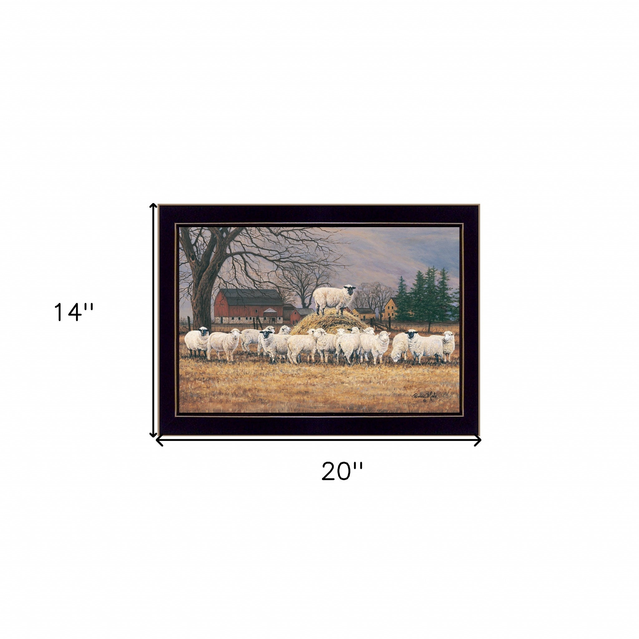 Wool Gathering 1 Black Framed Print Wall Art