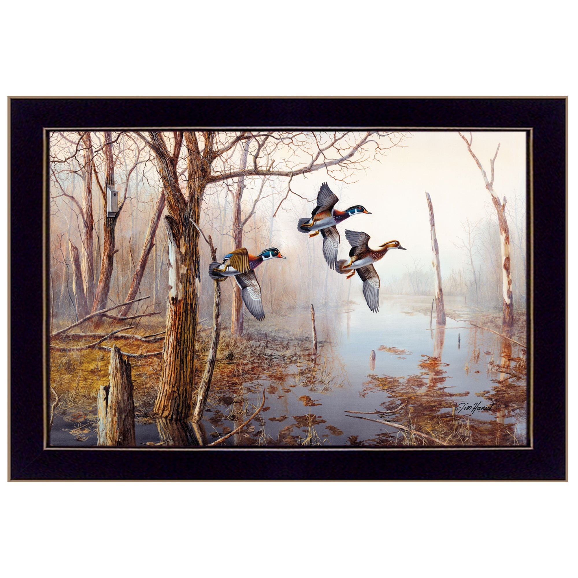 Backwater Black Framed Print Wall Art