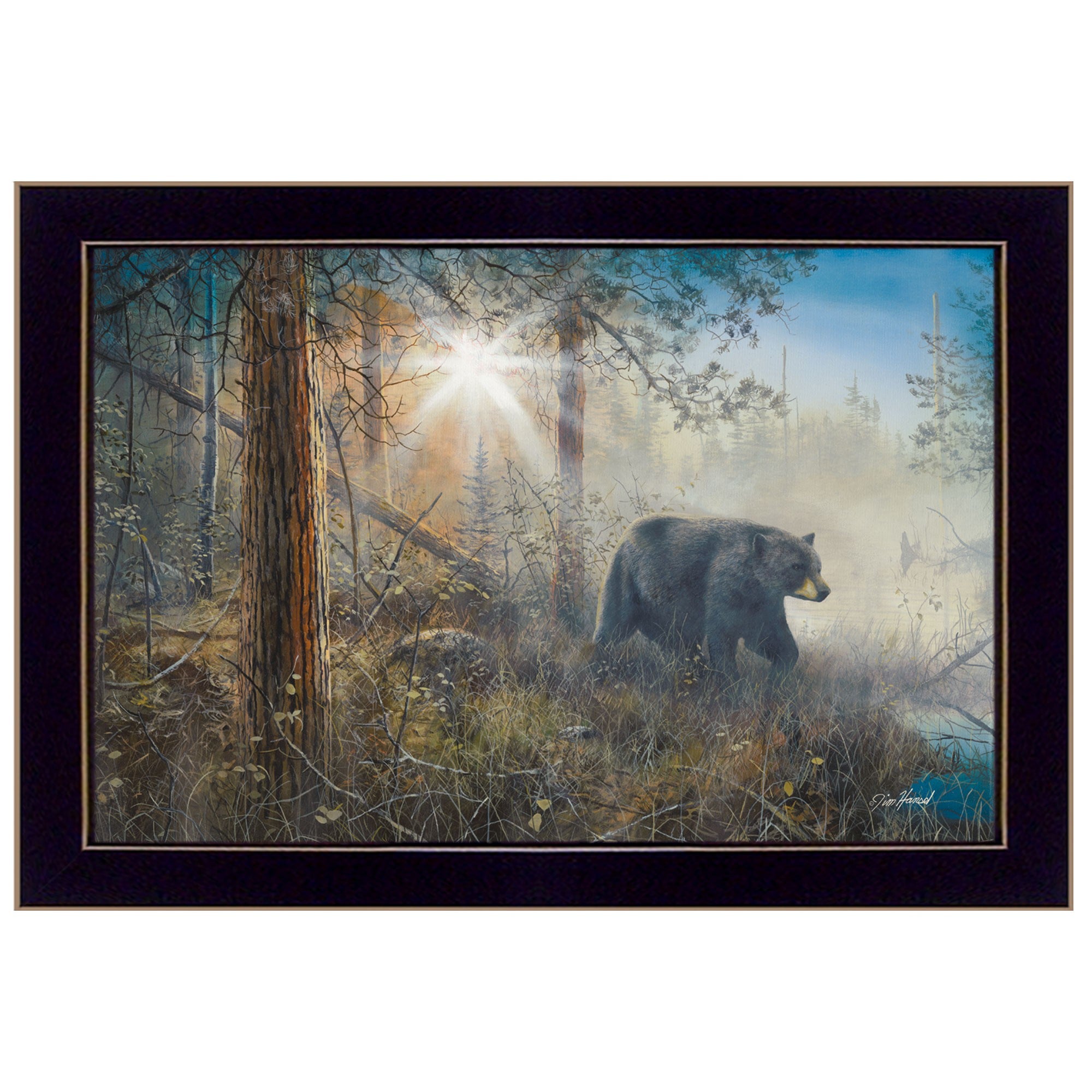 Shadow in the Mist Black Framed Print Wall Art