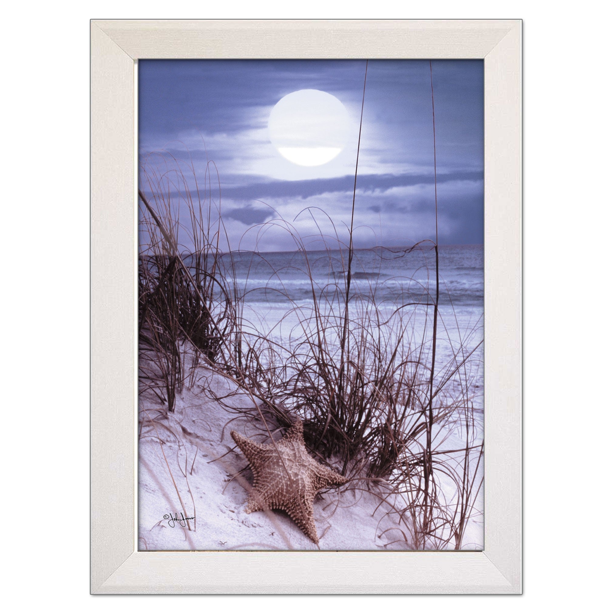 The Seashore White Framed Print Wall Art