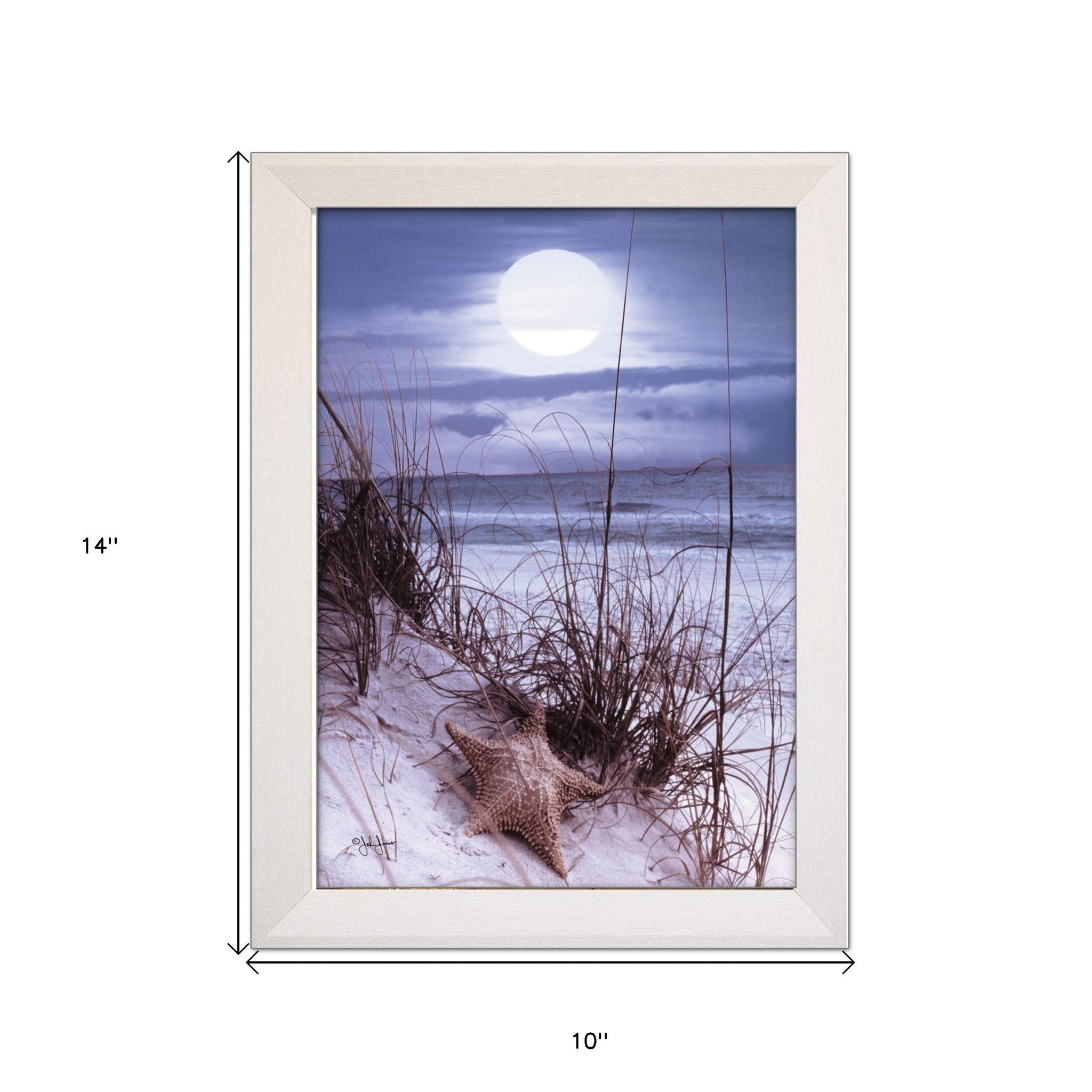 The Seashore White Framed Print Wall Art