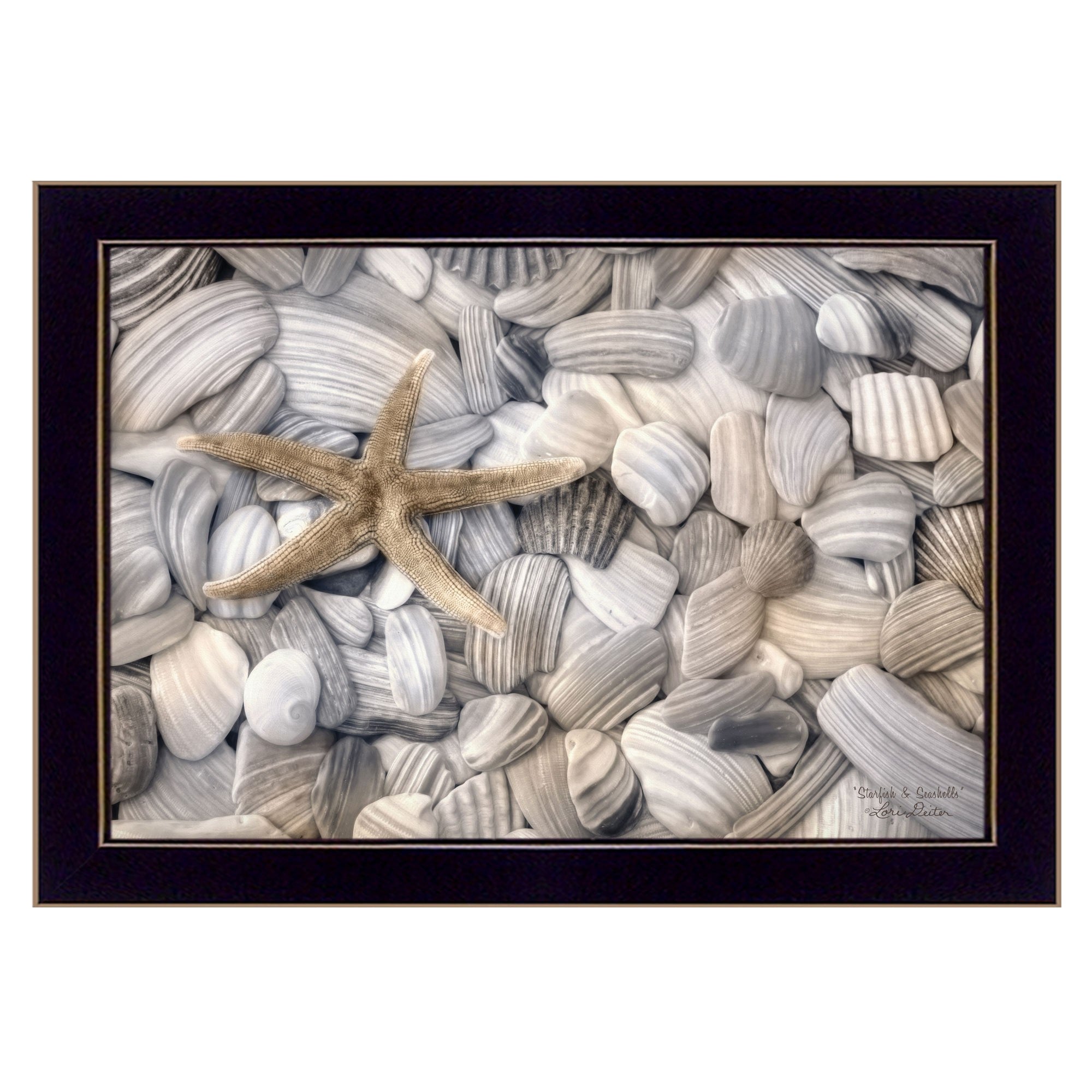 Starfish and Seashell 1 Black Framed Print Wall Art