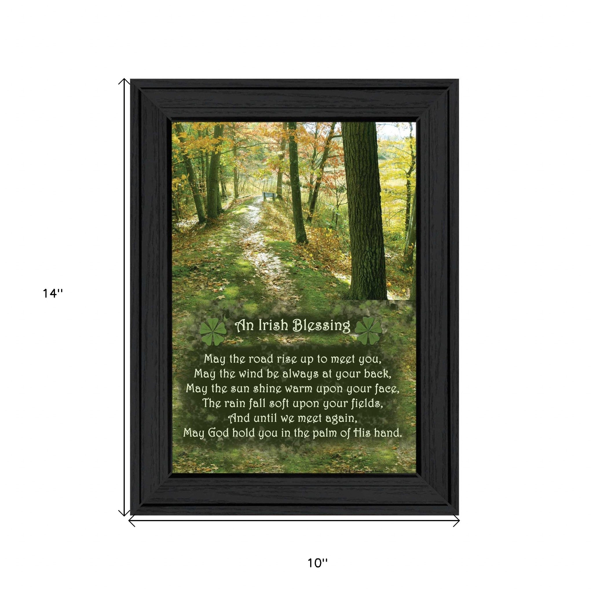 Irish Blessing Black Framed Print Wall Art