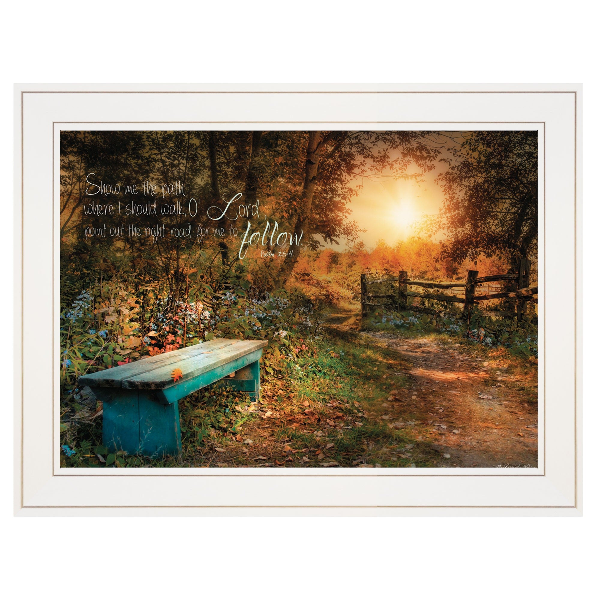 Show Me the Path 1 White Framed Print Wall Art