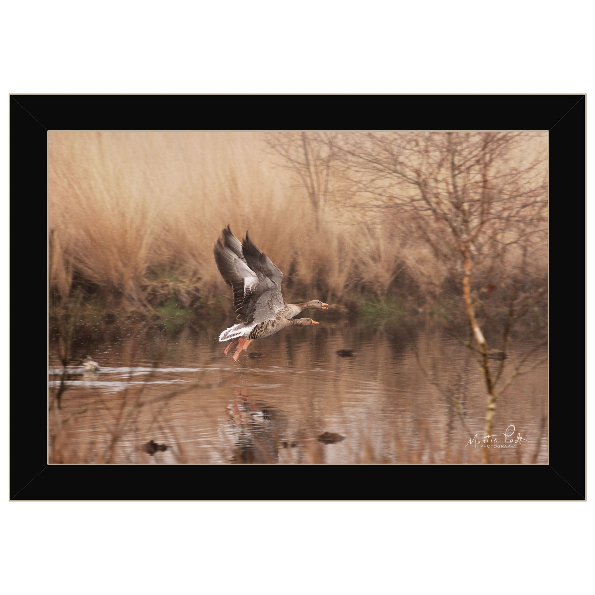 Fly Away 3 Black Framed Print Wall Art